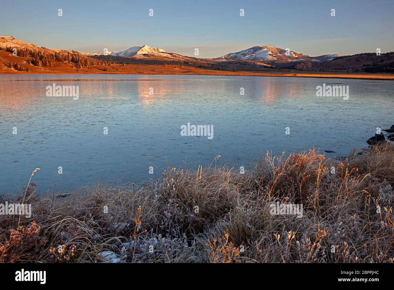 WY04442-00...WYOMING - tôt le matin au lac des cygnes partiellement gelé avec la neige couverte de Gallantin Range au-delà dans le parc national de Yellowstone. Banque D'Images