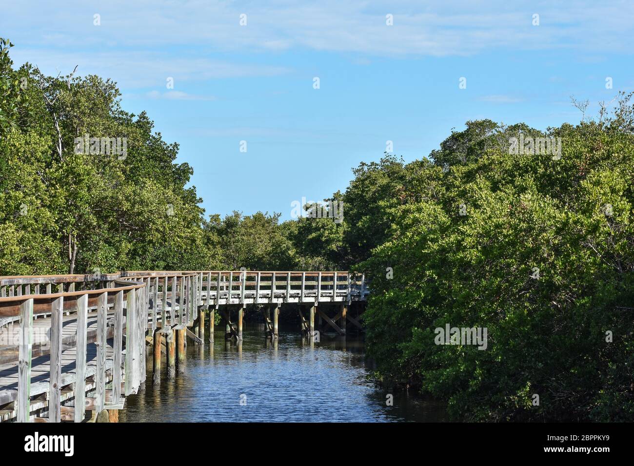 Longue passerelle en bois dans la réserve Robinson à Bradenton, Floride Banque D'Images