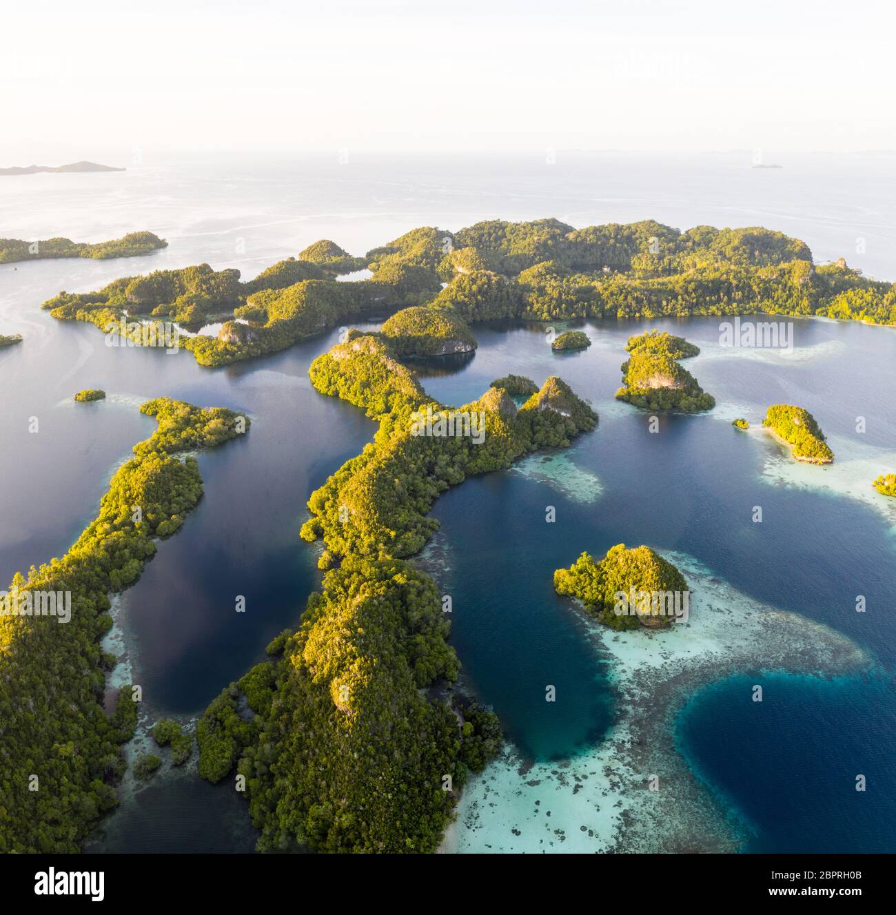 Les îles de calcaire de Raja Ampat sont entourées de récifs coralliens. Cette région éloignée est une destination préférée pour les plongeurs. Banque D'Images