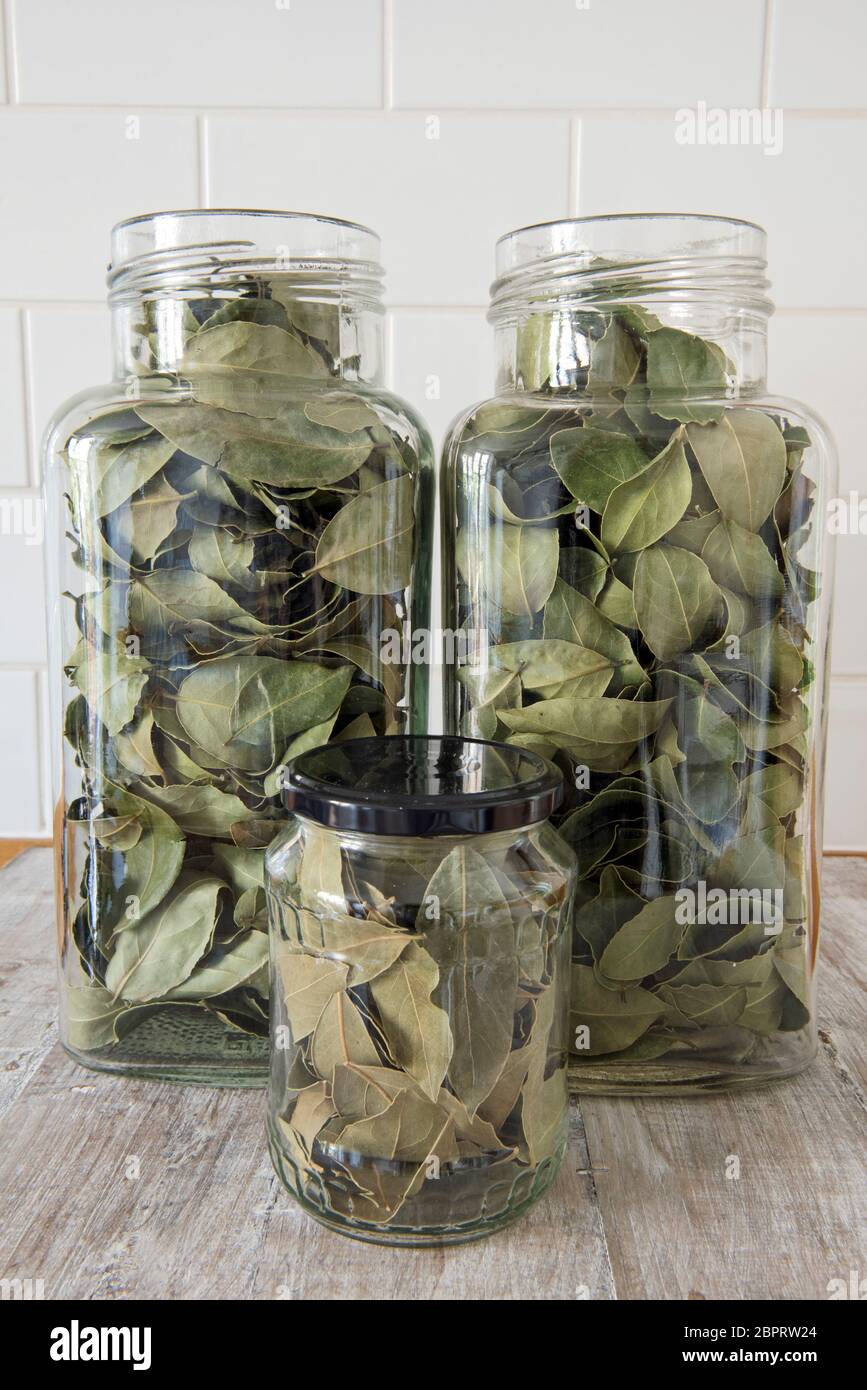 Feuilles de Laurier stockées dans deux grands bocaux sucrées recyclés vintage et un petit pot avec couvercle noir sur une surface en bois sur fond blanc carrelé. Concept zéro déchet Banque D'Images