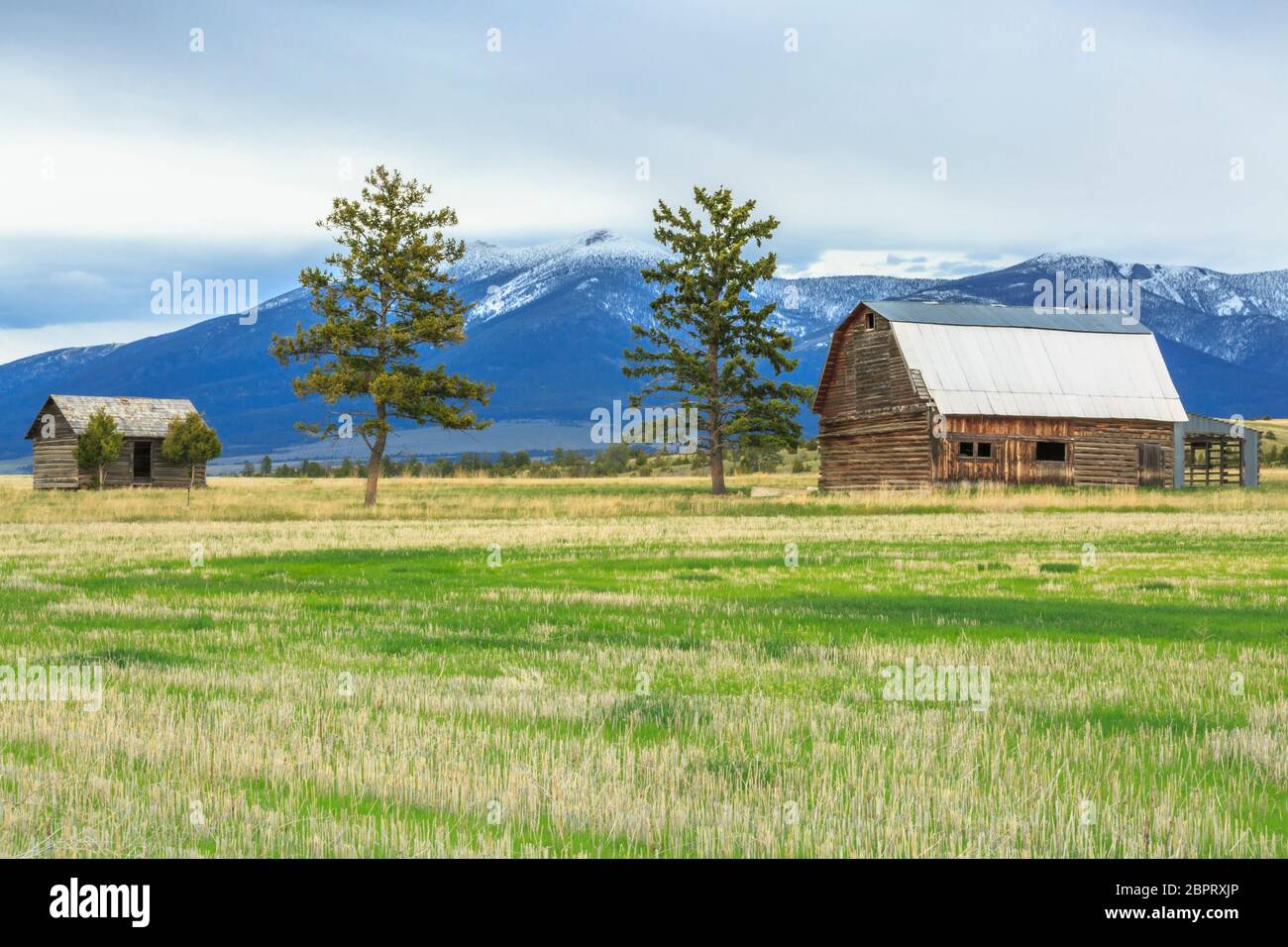 ancienne grange et cabine sous le mont baldy près de townsend, montana Banque D'Images
