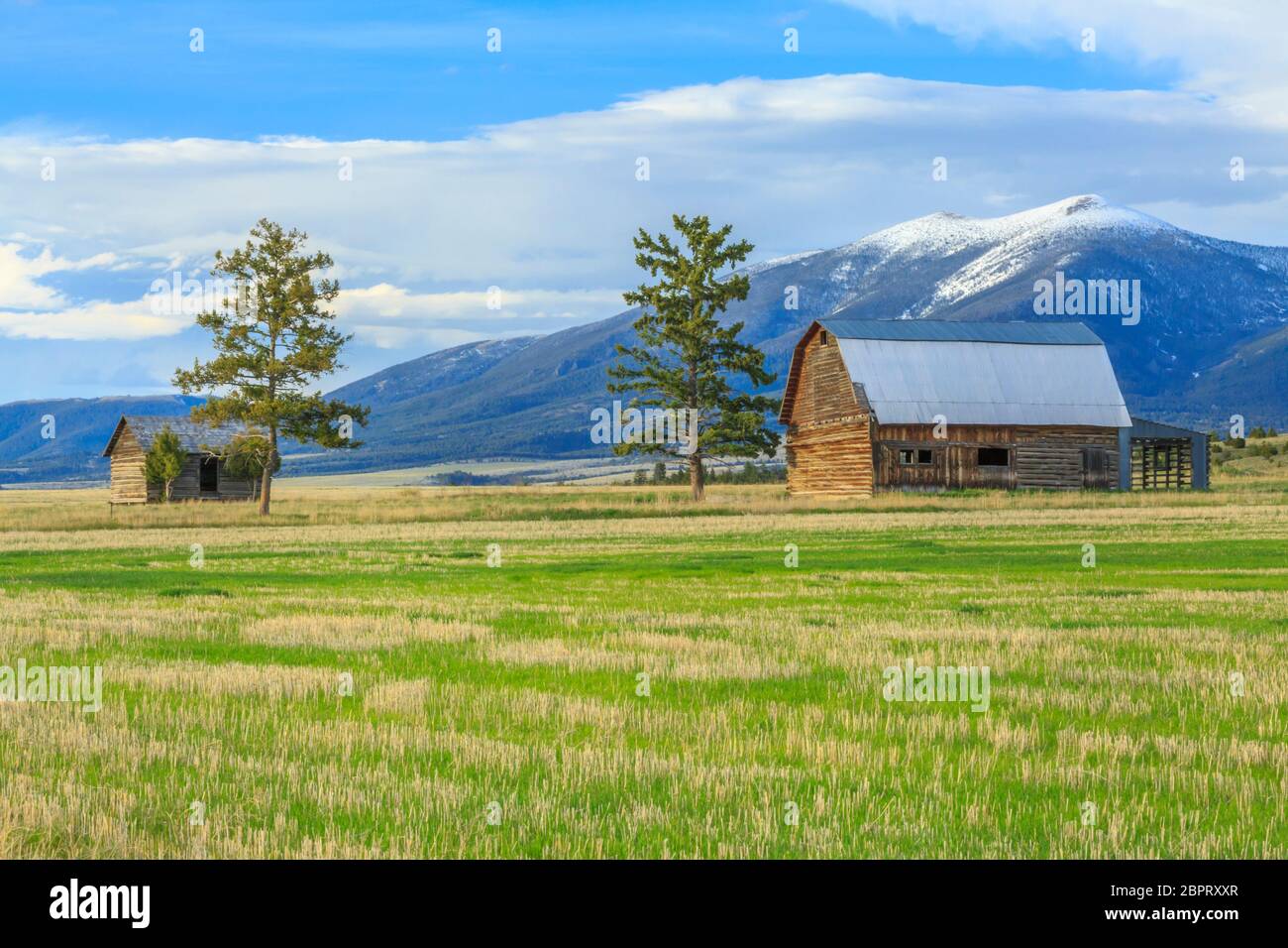 ancienne grange et cabine sous le mont baldy près de townsend, montana Banque D'Images