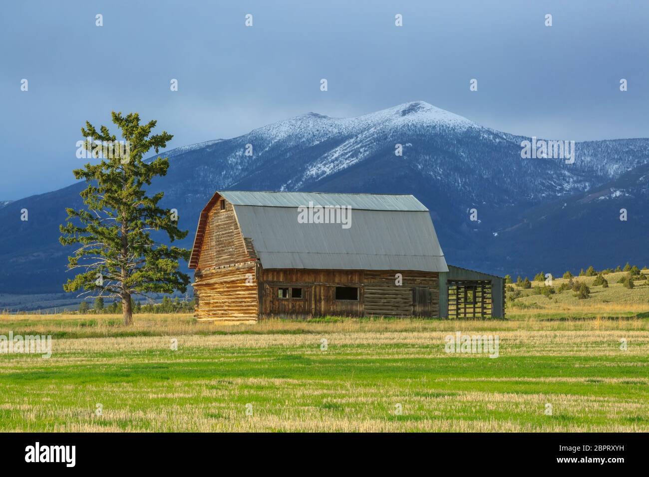 ancienne grange en bois sous le mont baldy près de townsend, montana Banque D'Images