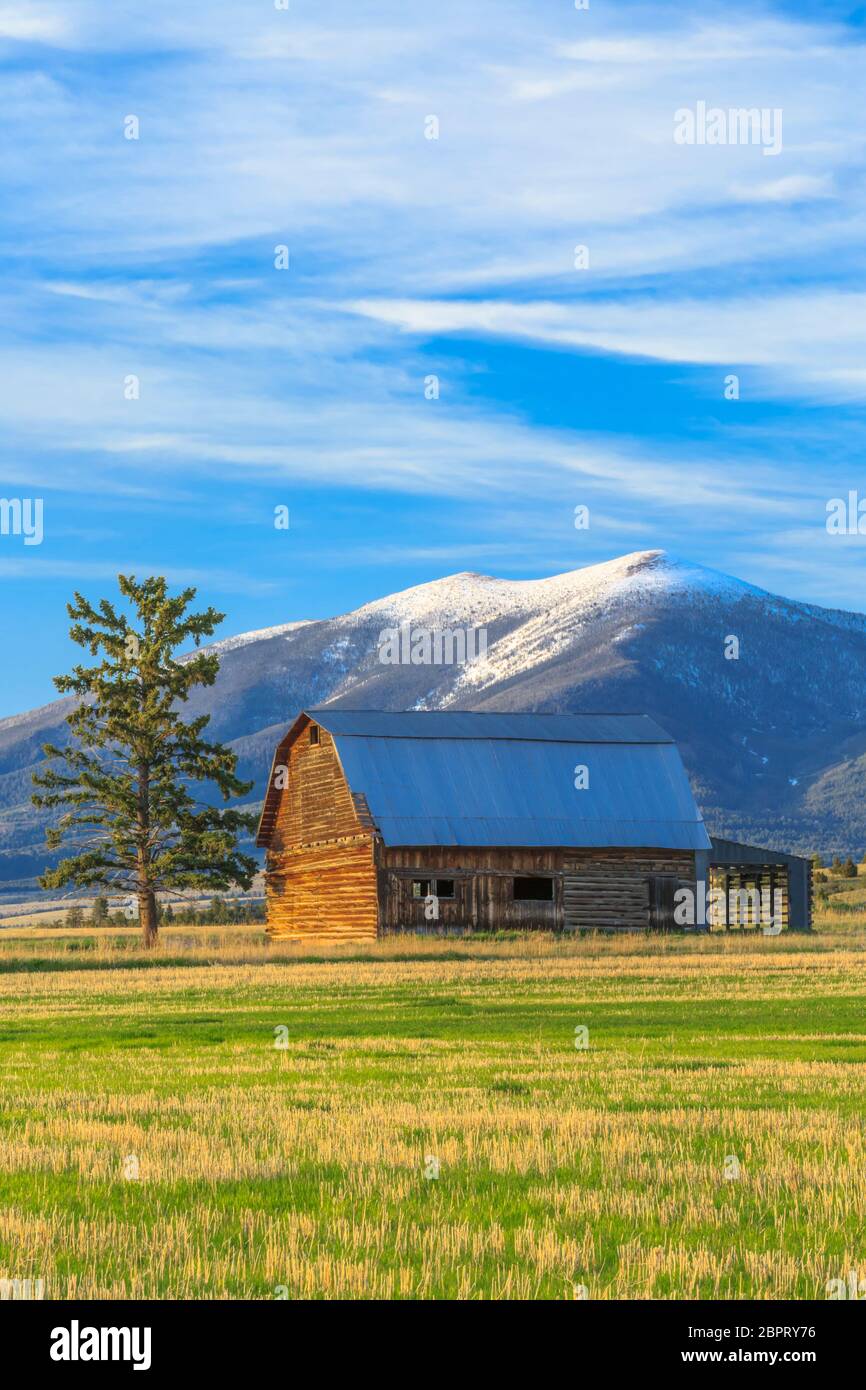ancienne grange en bois sous le mont baldy près de townsend, montana Banque D'Images