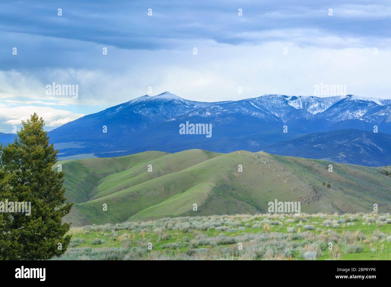 mont baldy dans les grandes montagnes de ceinture au-dessus des contreforts près de townsend, montana Banque D'Images