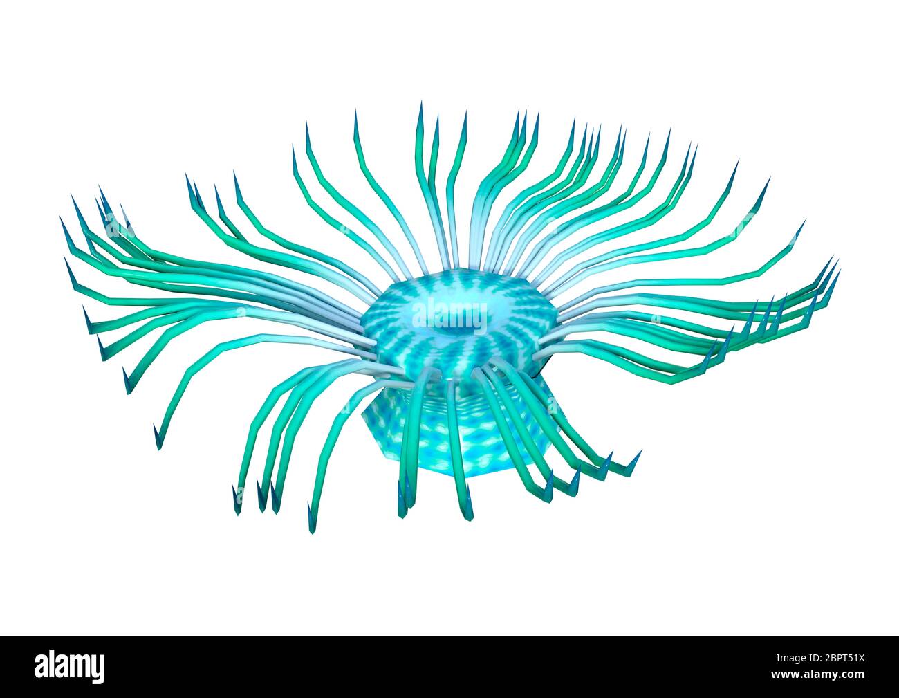 Le rendu 3D d'une anémone de mer vert isolé sur fond blanc Banque D'Images