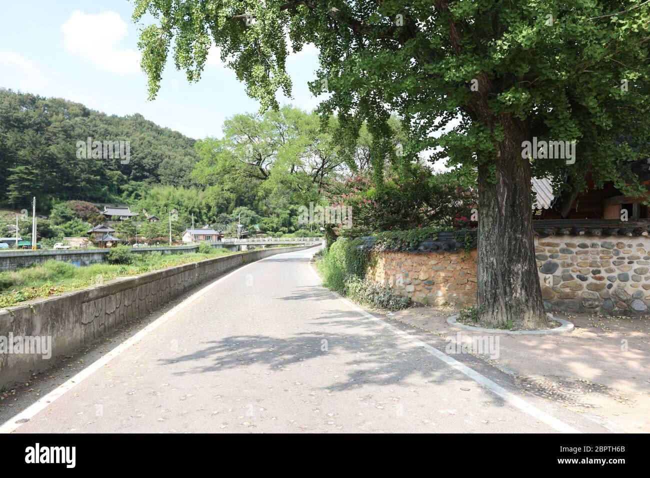 Entrée de la route du vieux village en Corée avec de grands arbres. Banque D'Images