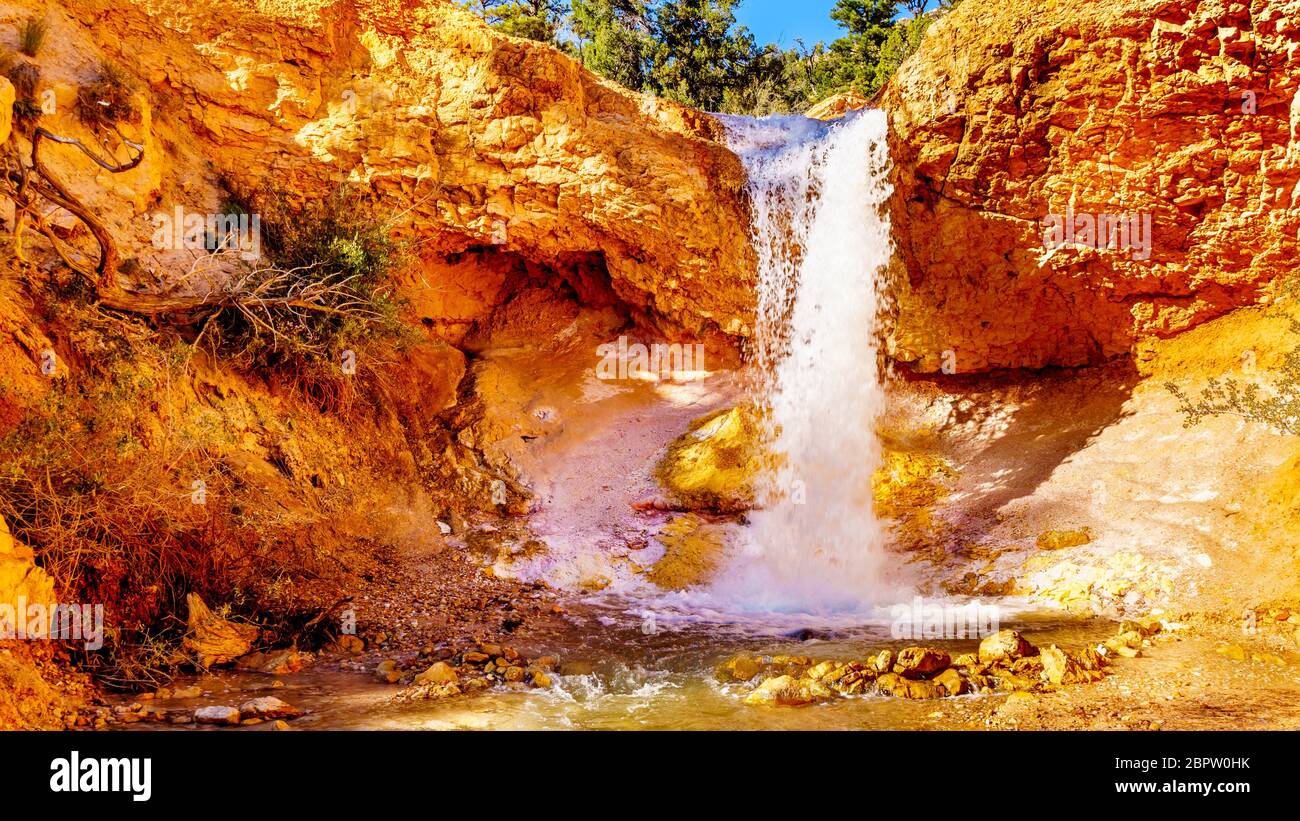 Tropic Ditch Falls, qui descend au-dessus des roches vermillon, sur le sentier de randonnée Mossy Cave, dans le parc national de Bryce Canyon, Utah, États-Unis Banque D'Images