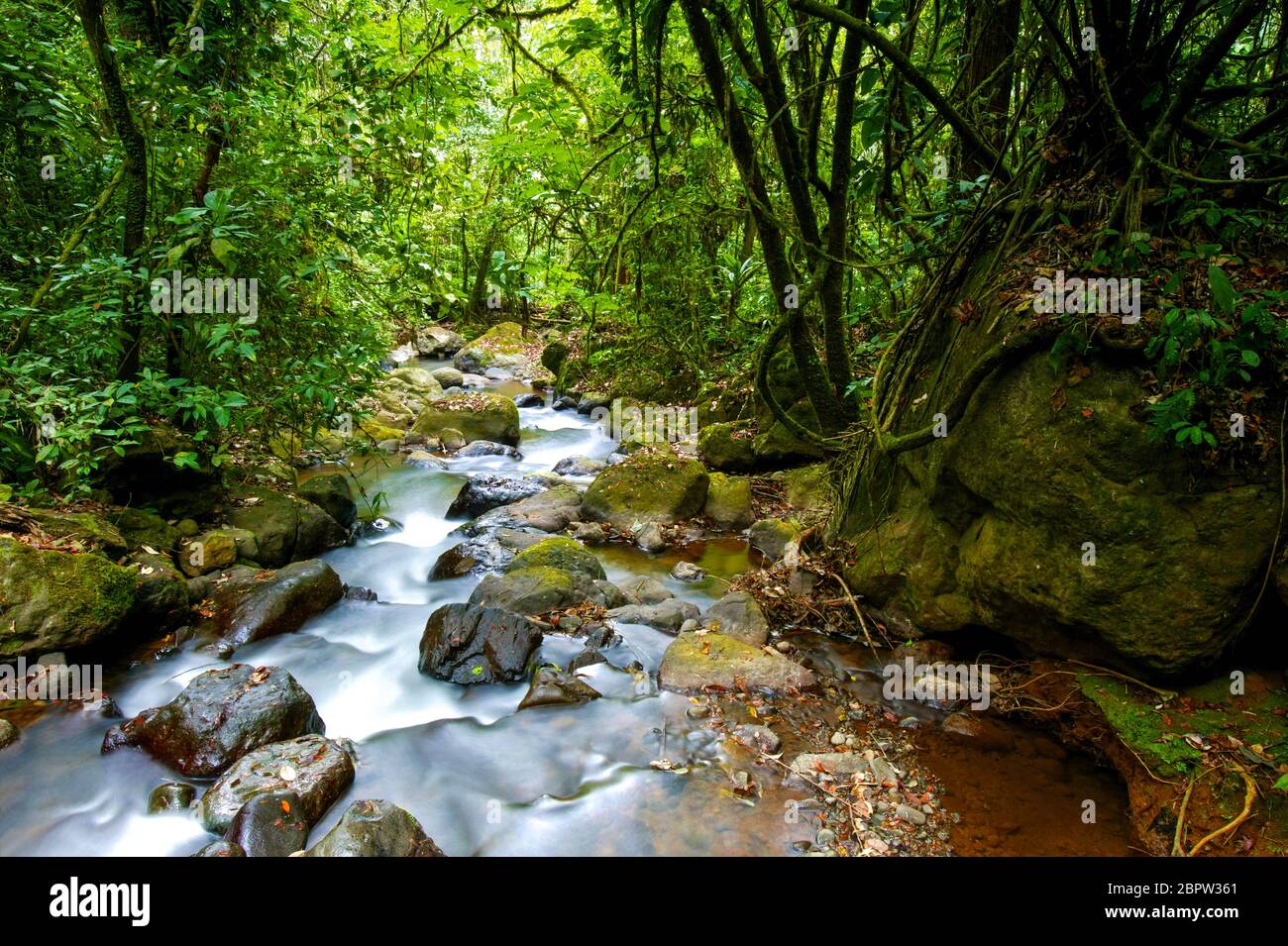 Rivière dans la forêt tropicale luxuriante près de la station de Cana, parc national de Darien, province de Darien, République du Panama Banque D'Images