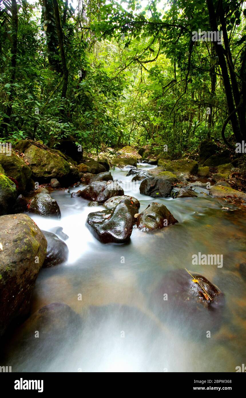 Rivière dans la forêt tropicale luxuriante près de la station de Cana, parc national de Darien, province de Darien, République du Panama Banque D'Images