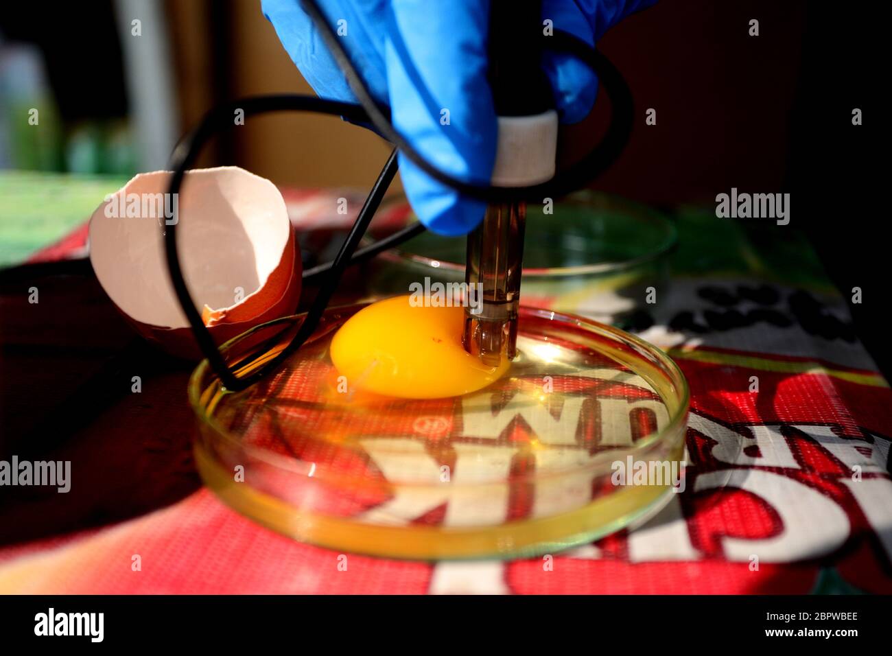 Bandung, Java-Ouest, Indonésie. 20 mai 2020. L'équipe de Food Checker examine le niveau d'acidité ou de dégustation des œufs à Bandung, West Java, Indonésie, le 20 mai 2020. Cela permet de s'assurer que la circulation alimentaire entre dans la ville dans un état sain et sécuritaire. Dans le passé, il y a eu des inspections alimentaires sur les marchés traditionnels et les marchés modernes. Crédit: Agvi Firdaus/ZUMA Wire/Alay Live News Banque D'Images