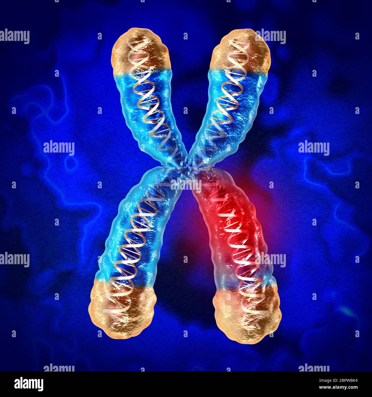 Maladie génétique et maladie des chromosomes ou dommages à l'ADN comme concept de science et de biologie avec des gènes endommagés comme rendu 3D.[ Banque D'Images