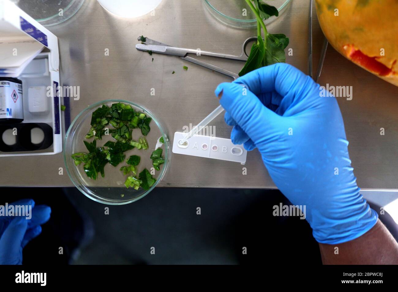 Bandung, Java-Ouest, Indonésie. 20 mai 2020. L'équipe d'analyse des aliments examine les légumes dans les laboratoires mobiles de Bandung, West Java, Indonésie, le 20 mai 2020. Cela permet de s'assurer que la circulation alimentaire entre dans la ville dans un état sain et sécuritaire. Dans le passé, il y a eu des inspections alimentaires sur les marchés traditionnels et les marchés modernes. Crédit: Agvi Firdaus/ZUMA Wire/Alay Live News Banque D'Images