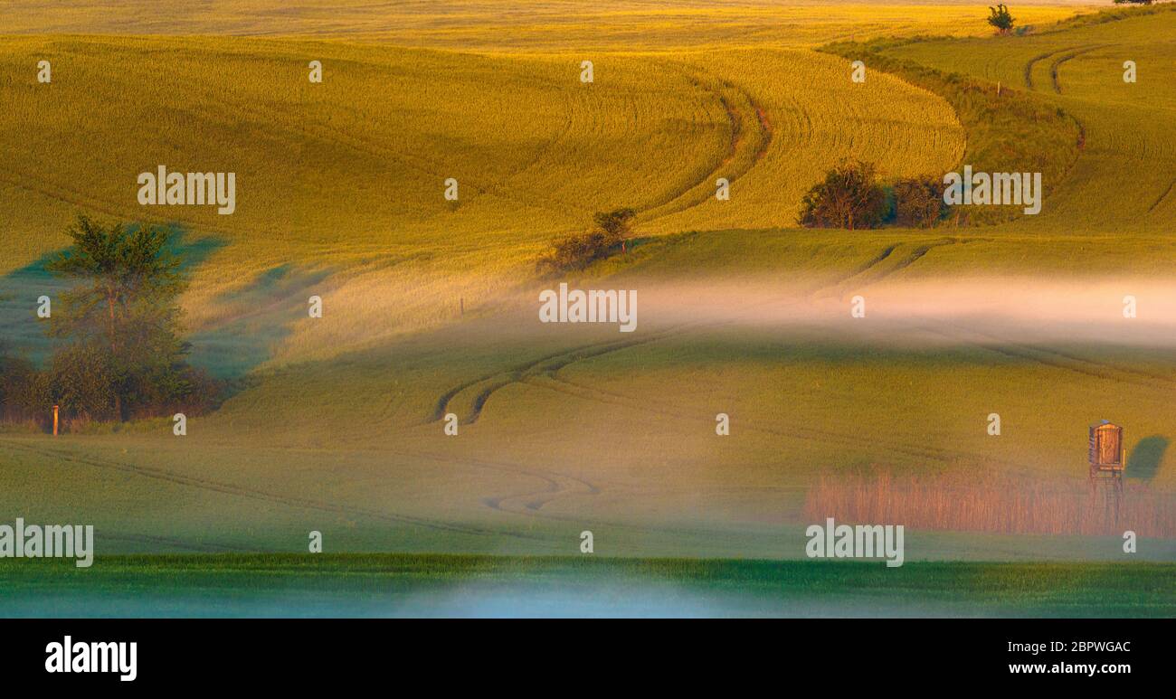 Le paysage rural rappelle la Toscane italienne sur un magnifique panorama brumeux Banque D'Images