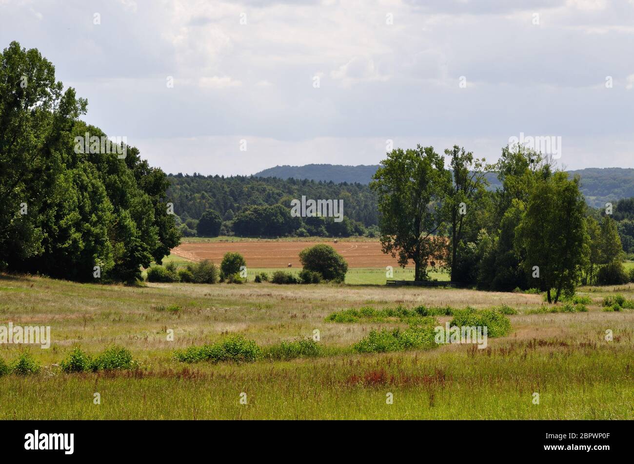 Sommerlandschaft im Saarland nahe Losheim am See. Banque D'Images