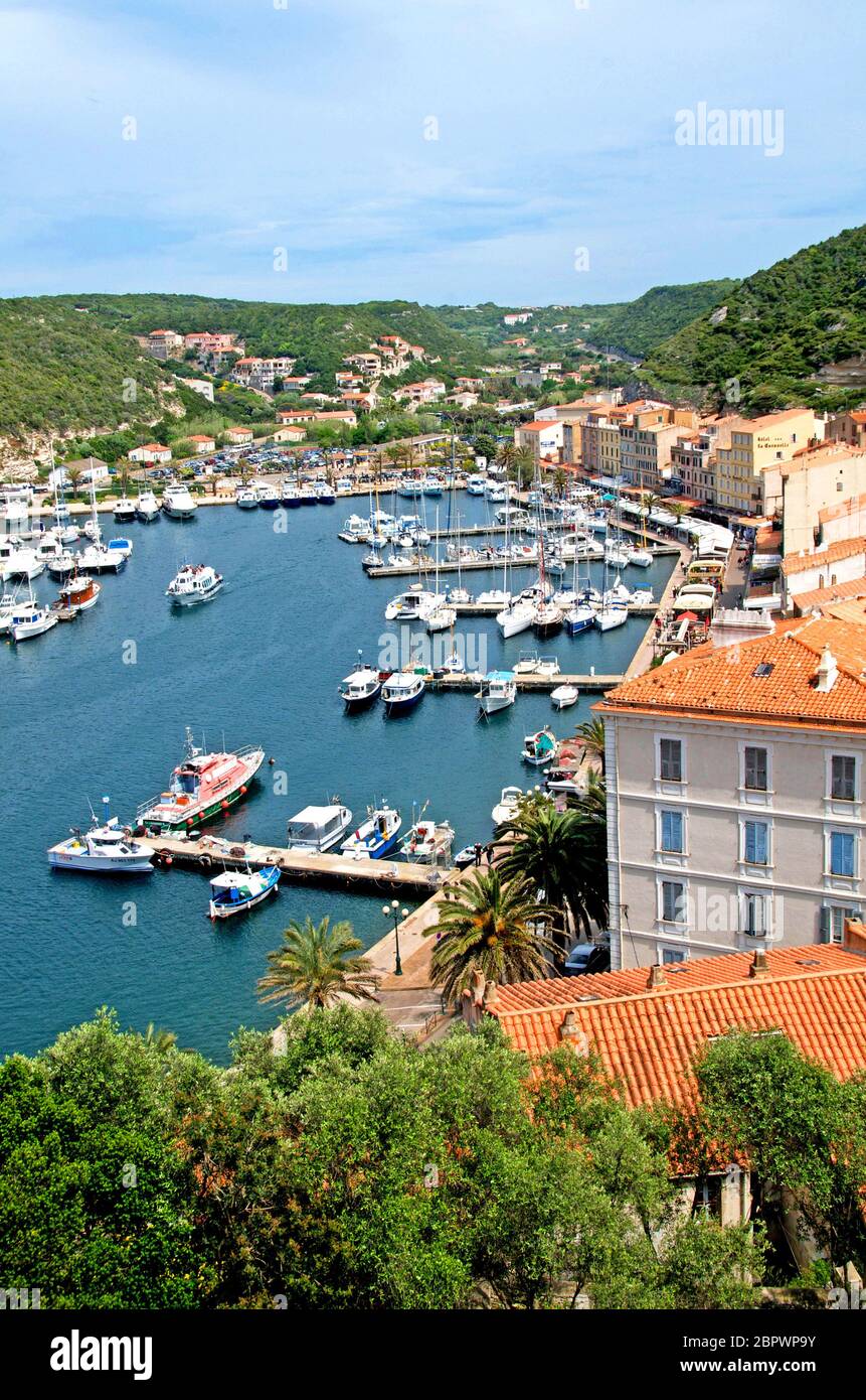 Le port de Bonifacio, Corse du Sud, France Banque D'Images