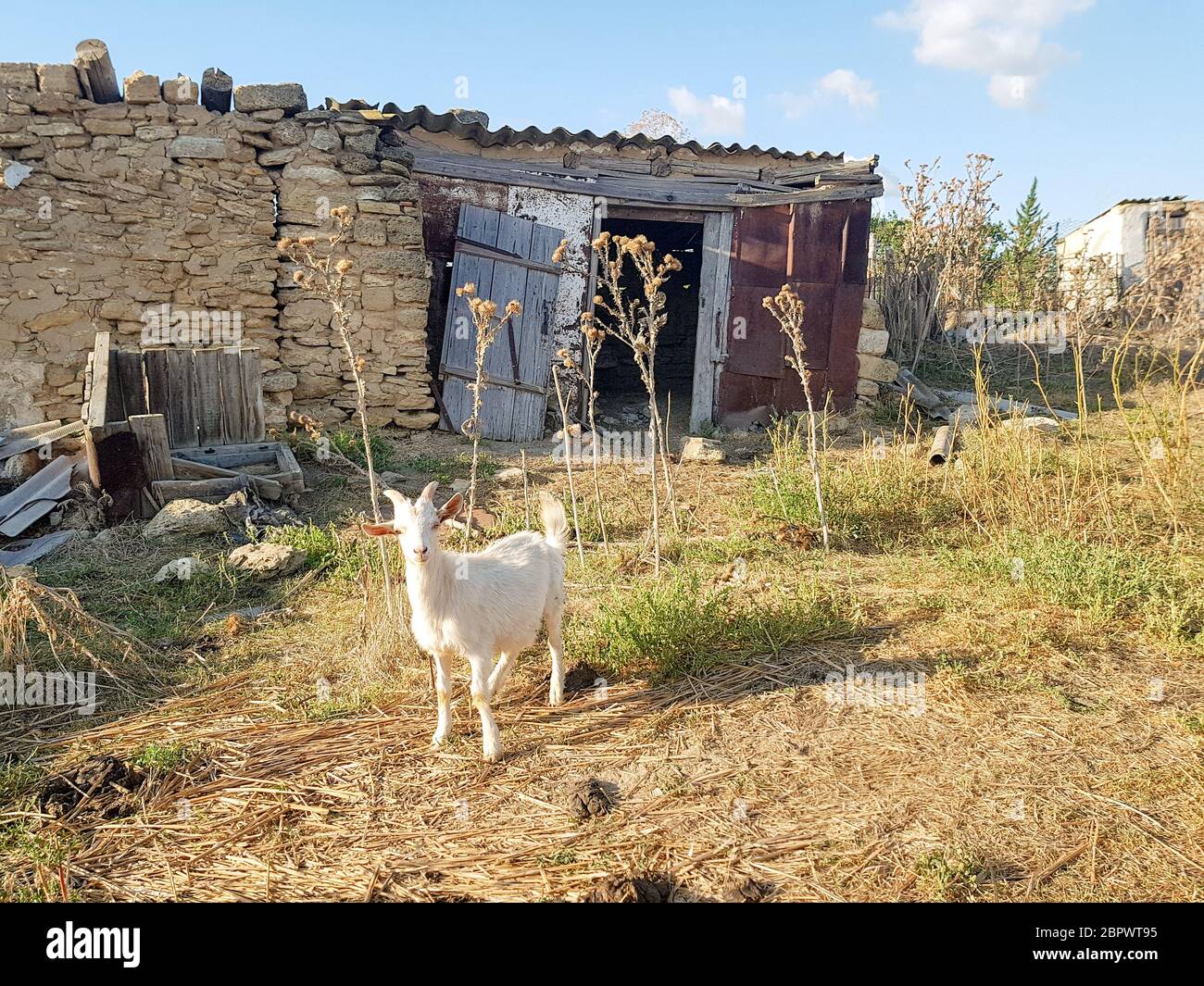 Enfant blanc sur fond d'une grange en ruine dans le village oriental Banque D'Images