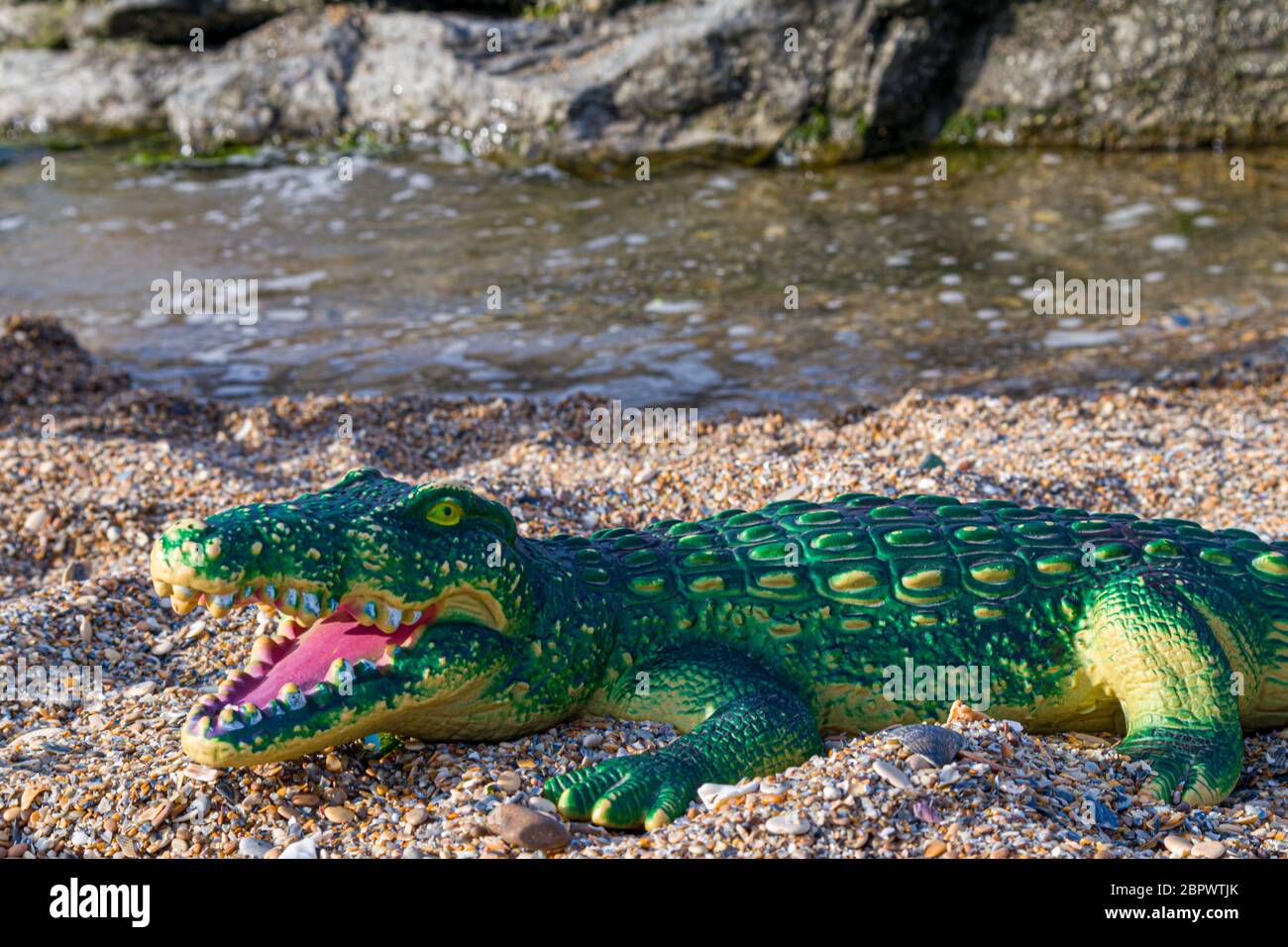 crocodile-sur-la-plage-banque-de-photographies-et-d-images-haute