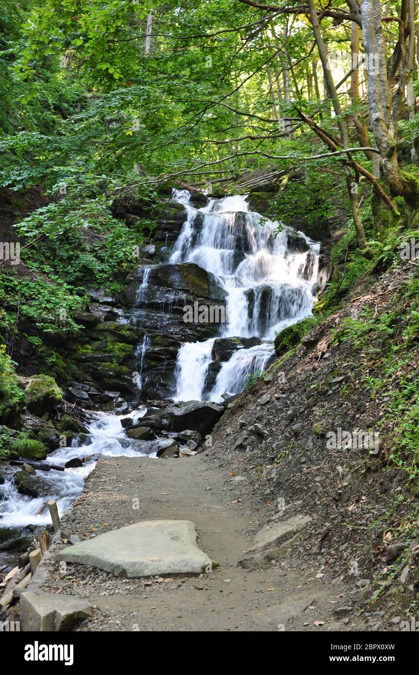 cascade dans les rochers de la forêt Banque D'Images