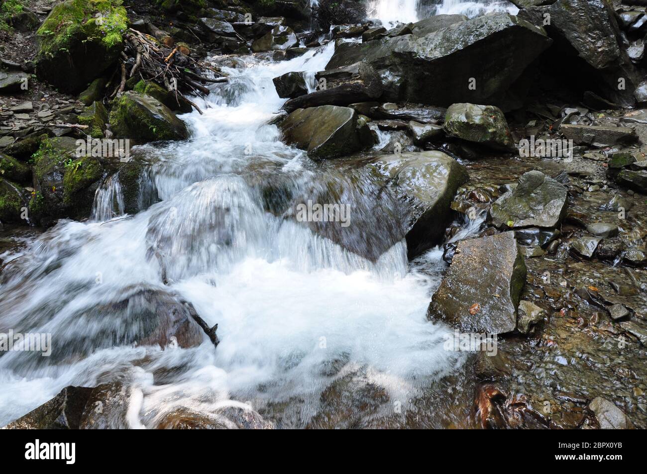 Ruisseau forestier dans les montagnes Carpates, Ukraine Banque D'Images