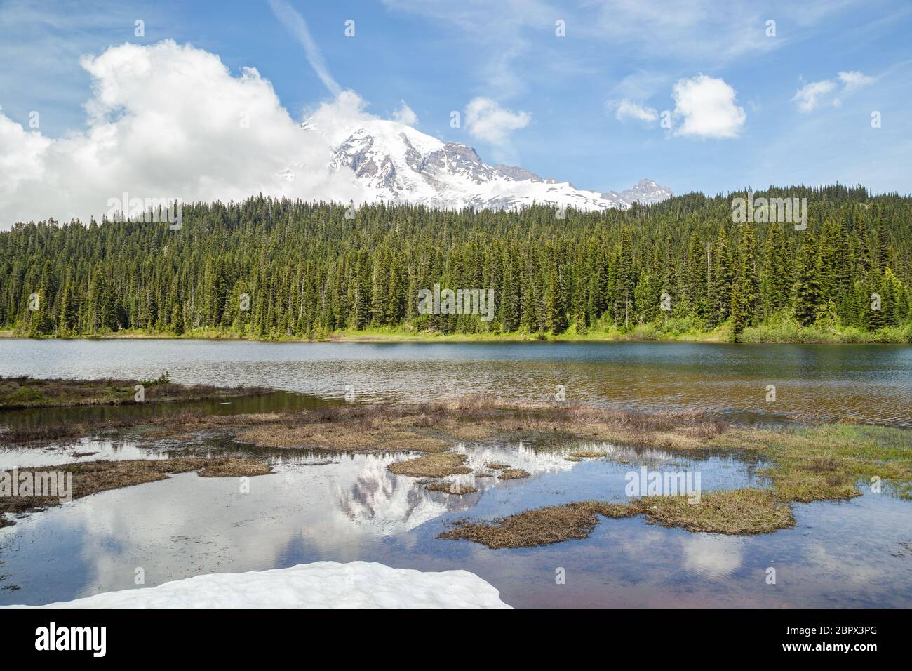 Parc national de Mount Rainier Banque D'Images