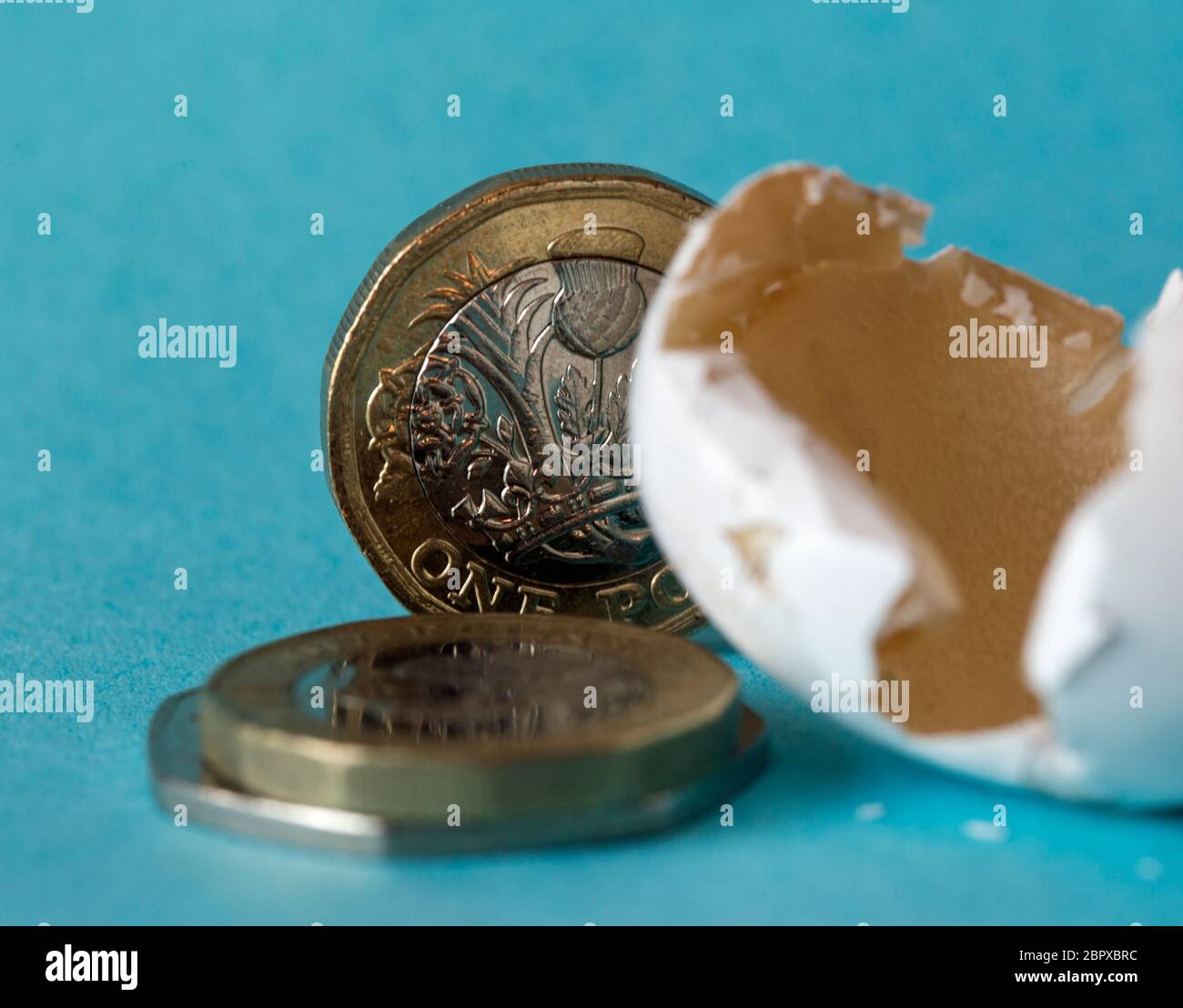 Coquillage d'oiseau sauvage d'origine éthique, gros plan avec des pièces de livre sterling, une pièce de deux livres et quelque 50 pièces de clôture. Banque D'Images