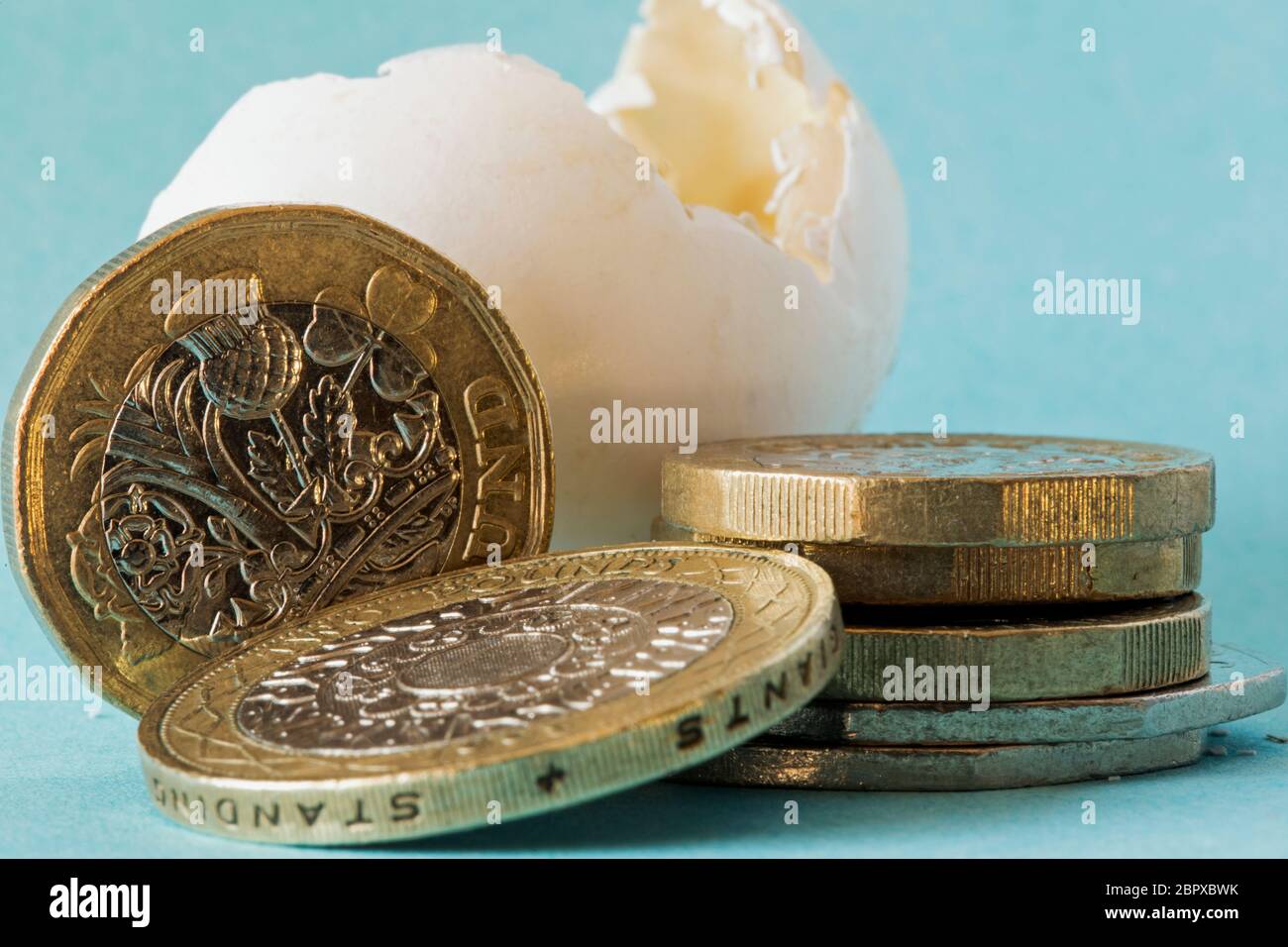 Coquillage d'oiseau sauvage d'origine éthique, gros plan avec des pièces de livre sterling, une pièce de deux livres et quelque 50 pièces de clôture. Banque D'Images