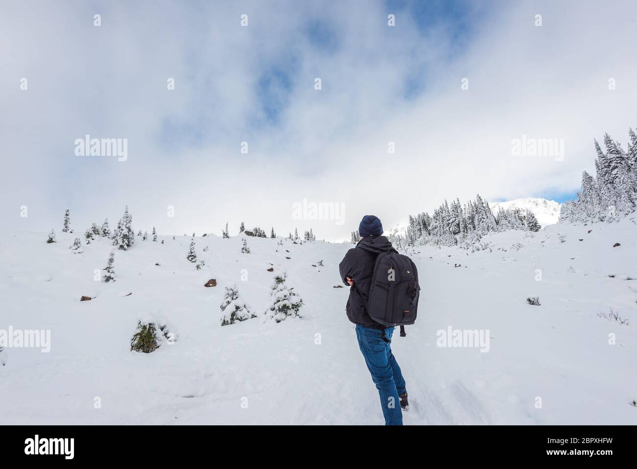Un homme se trouve face à la montagne sur un sentier couvert de neige dans la région paradisiaque, vue panoramique du parc national de mt Rainier, Washington, USA. Banque D'Images