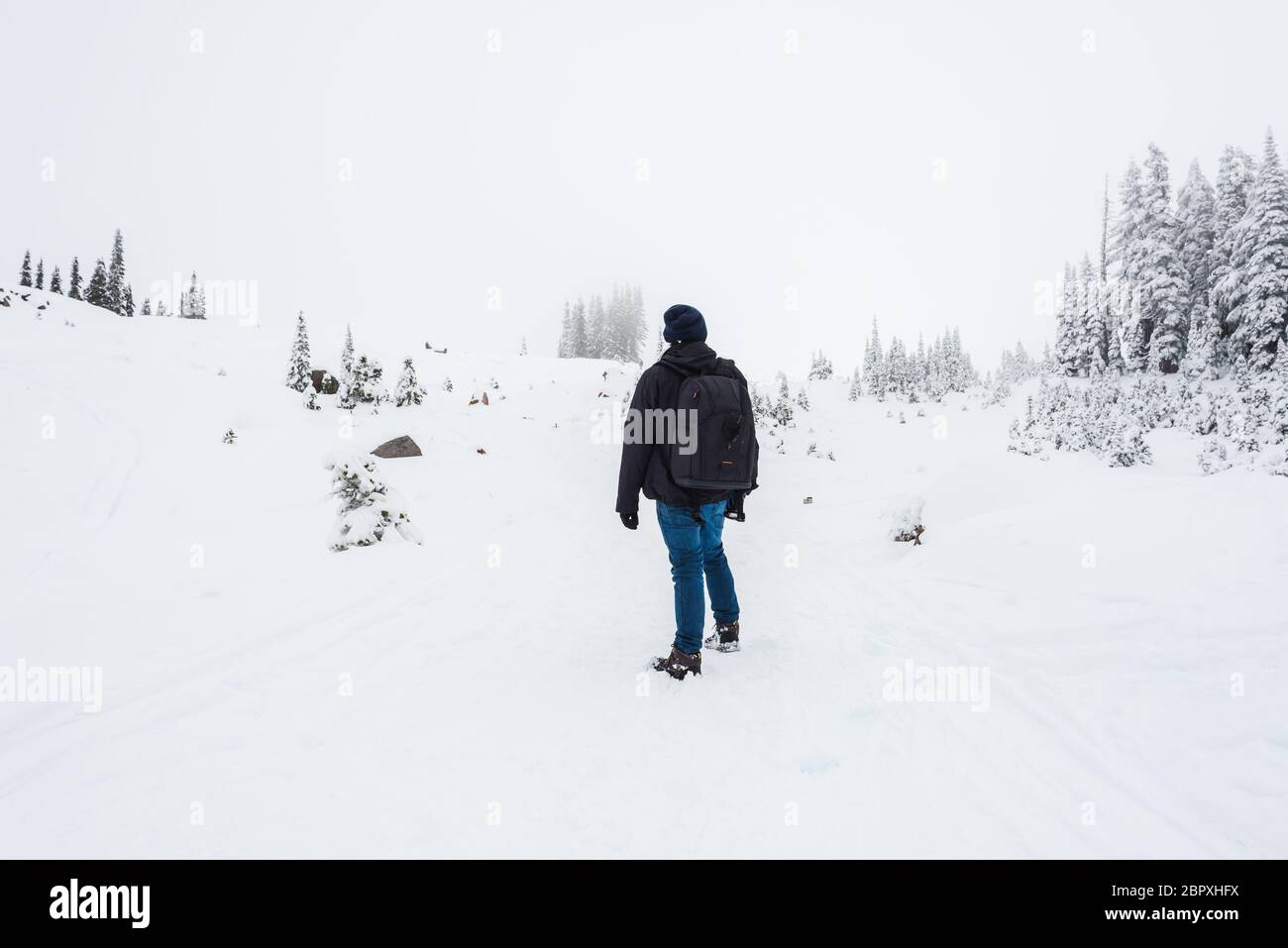 Un homme se trouve face à la montagne sur un sentier couvert de neige dans la région paradisiaque, vue panoramique du parc national de mt Rainier, Washington, USA. Banque D'Images