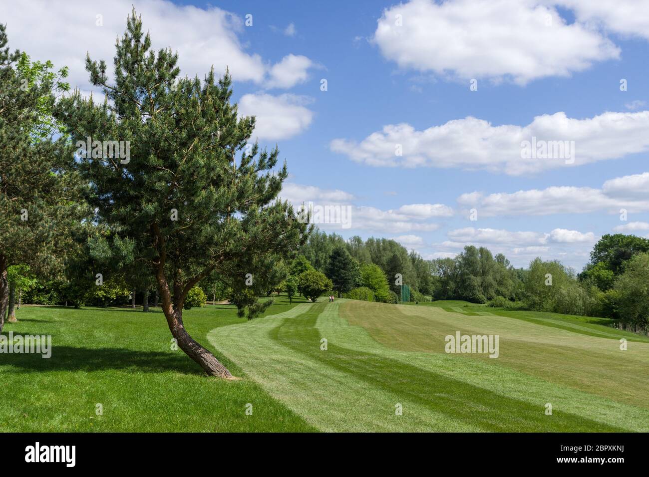 Collingtree Park Golf Club, Northampton, Royaume-Uni ; pendant l'isolement, le club était heureux de laisser les gens utiliser le parcours pour faire de l'exercice quotidien. Banque D'Images