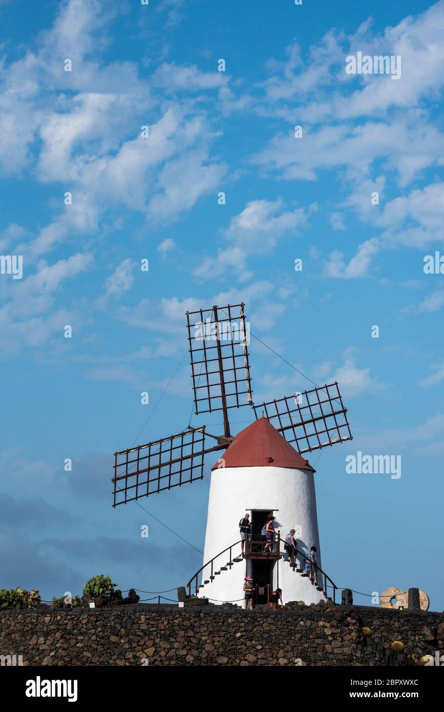 Winmill à Jardín de Cactus, Guatiza, Lanzarote, îles Canaries Banque D'Images