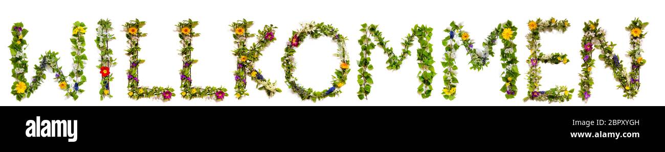 Fleur et Blossom lettre de construction Mot Willkommen Menas Bienvenue Banque D'Images
