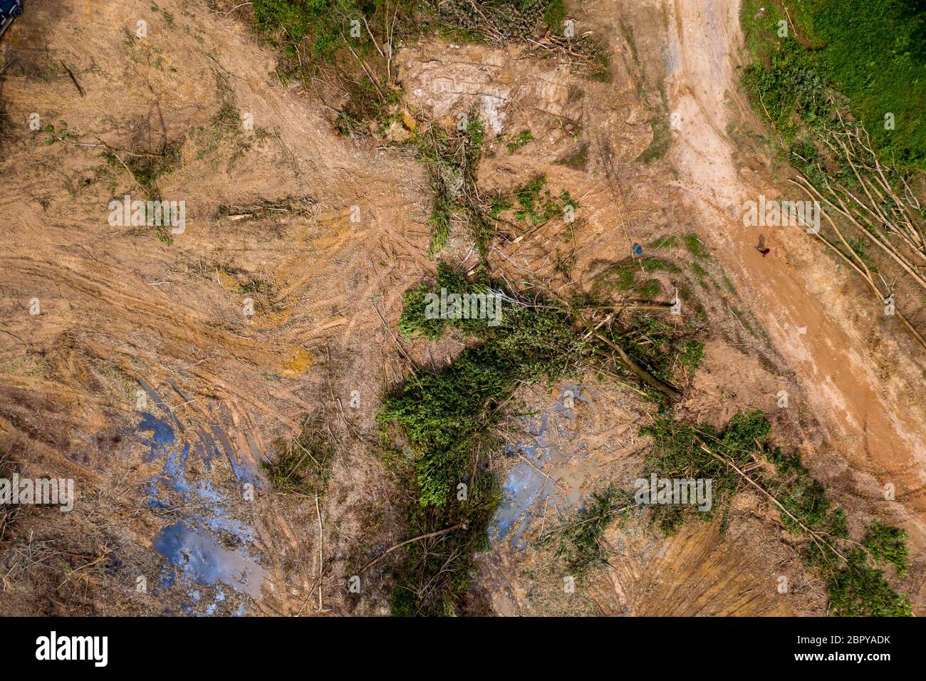 Vue aérienne de l'exploitation forestière et de la déforestation d'une forêt tropicale dans les zones rurales de la Thaïlande Banque D'Images