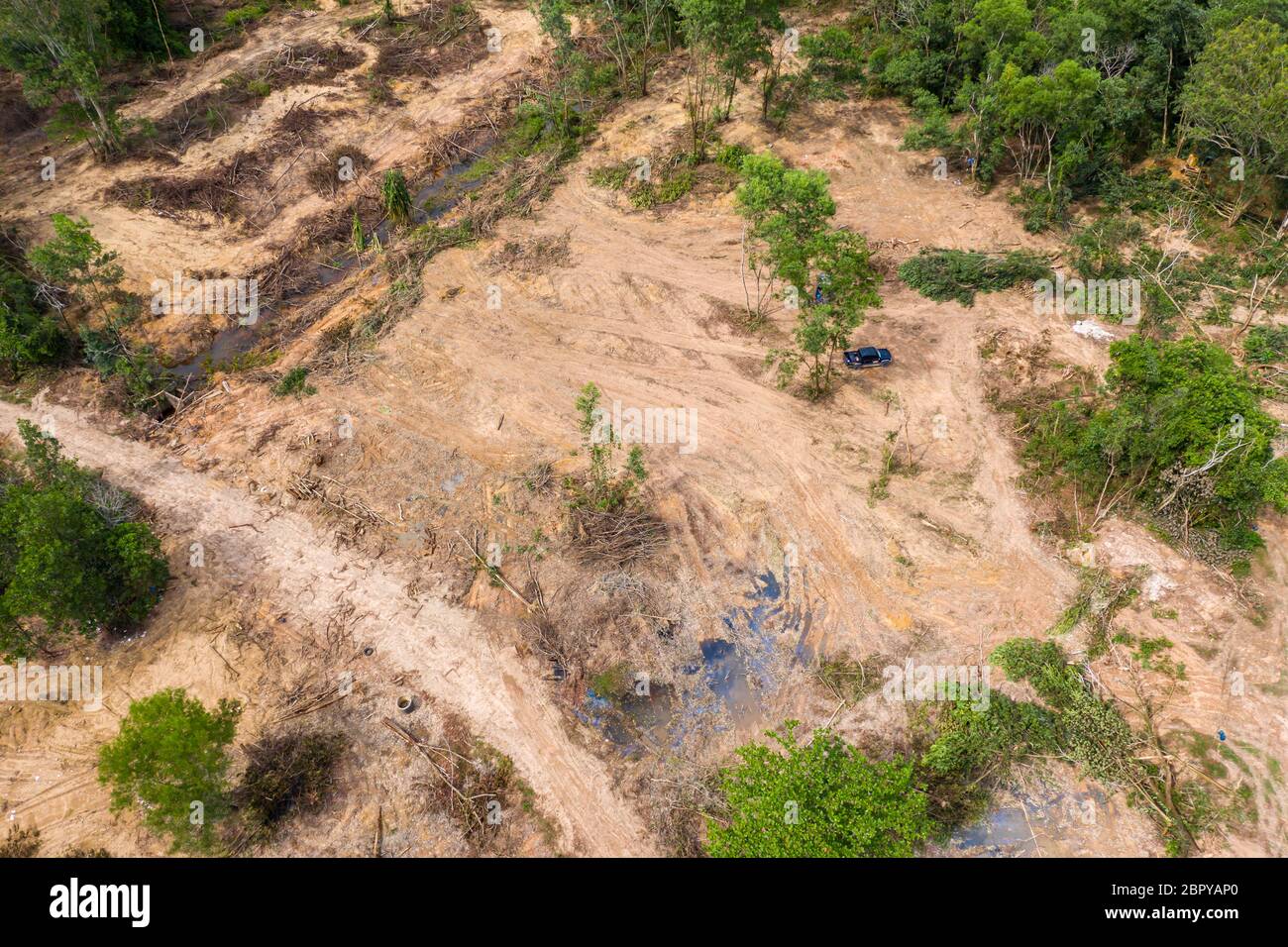 Vue aérienne par drone des opérons forestiers et de la déforestation active d'une forêt tropicale contribuant à la destruction de l'habitat et du climat artificiel chan Banque D'Images