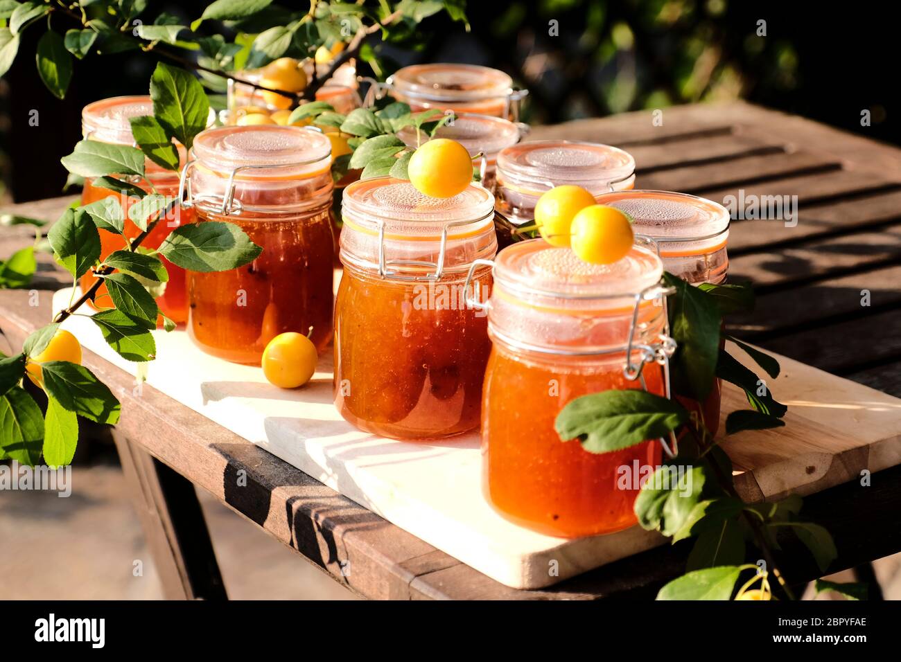 Confiture de prunes Mirabelle maison Banque D'Images