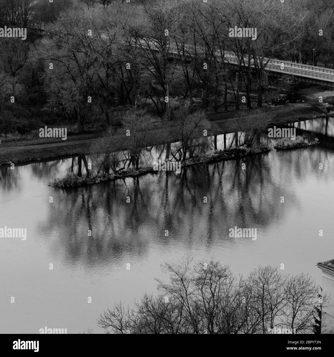 Hiver sans feuilles des arbres sur une petite île en miroir dans le Danube à Melnick Banque D'Images