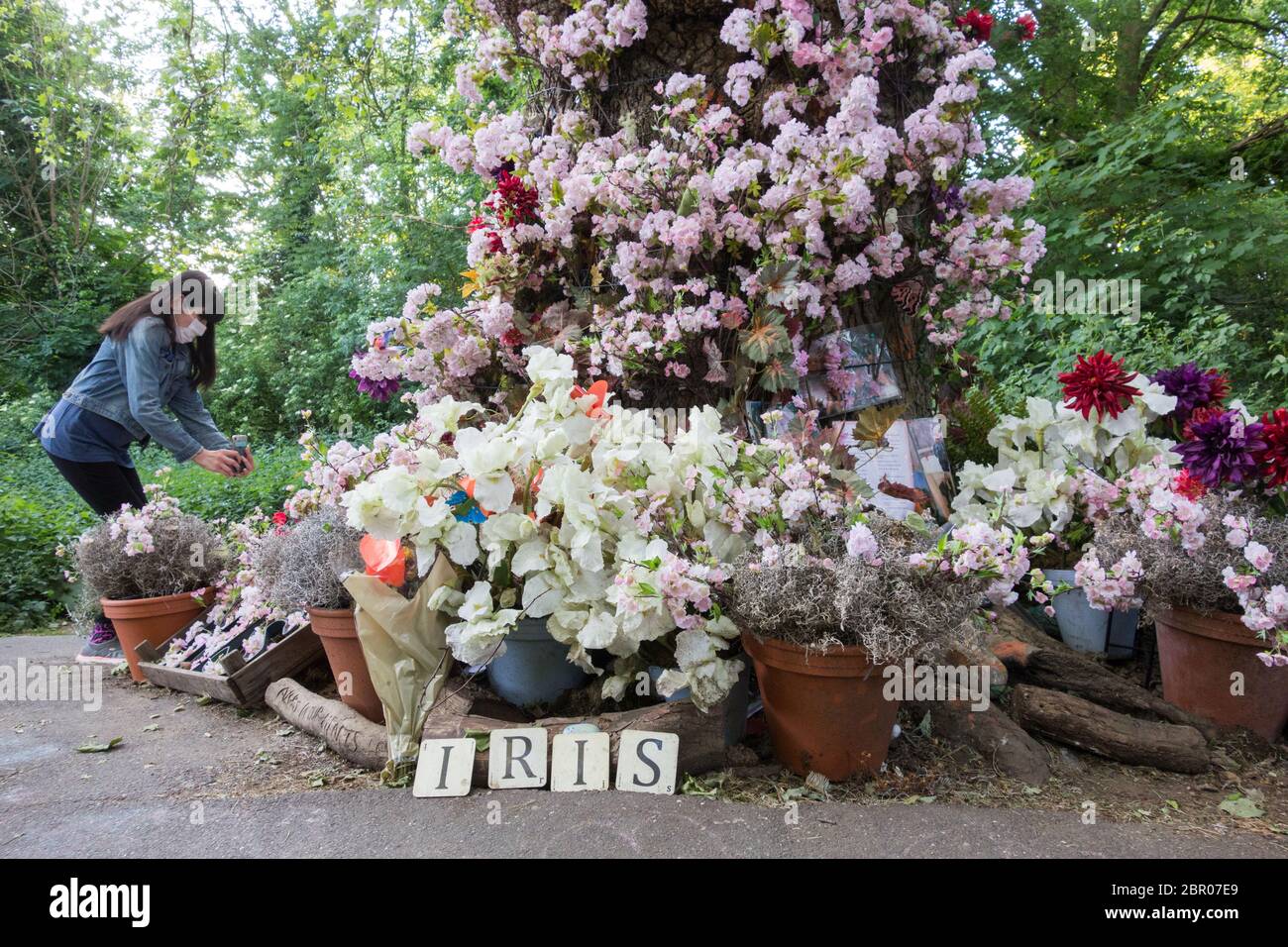 Un magnifique et aimant sanctuaire d'arbres de famille mémorial à Iris Goldsmith, Barnes Common, Londres, Angleterre, Royaume-Uni Banque D'Images