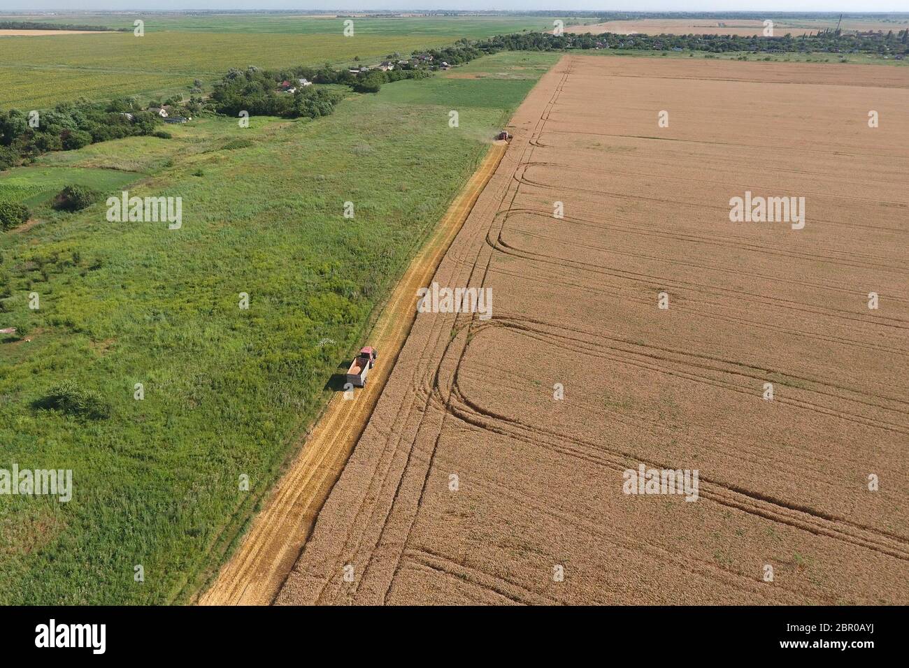 Le nettoyage du blé l'ensileuse. Ripe wheat harvester tondu et la paille traitée facilement derrière lui. Vue d'en haut. Banque D'Images