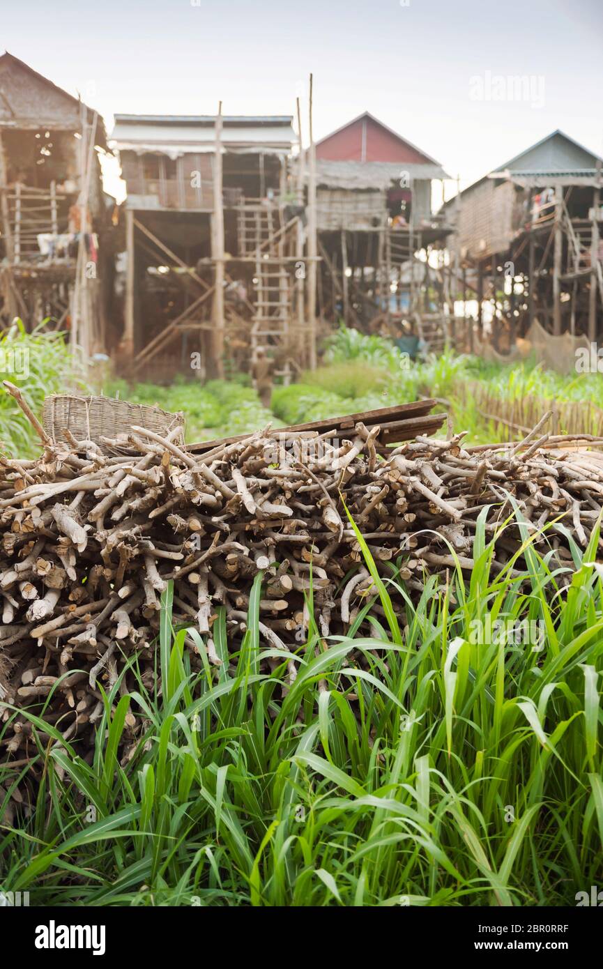Une pile de brindilles derrière les maisons sur pilotis à Kampong Phluk, province de Siem Reap, centre-nord du Cambodge, Asie du Sud-est Banque D'Images