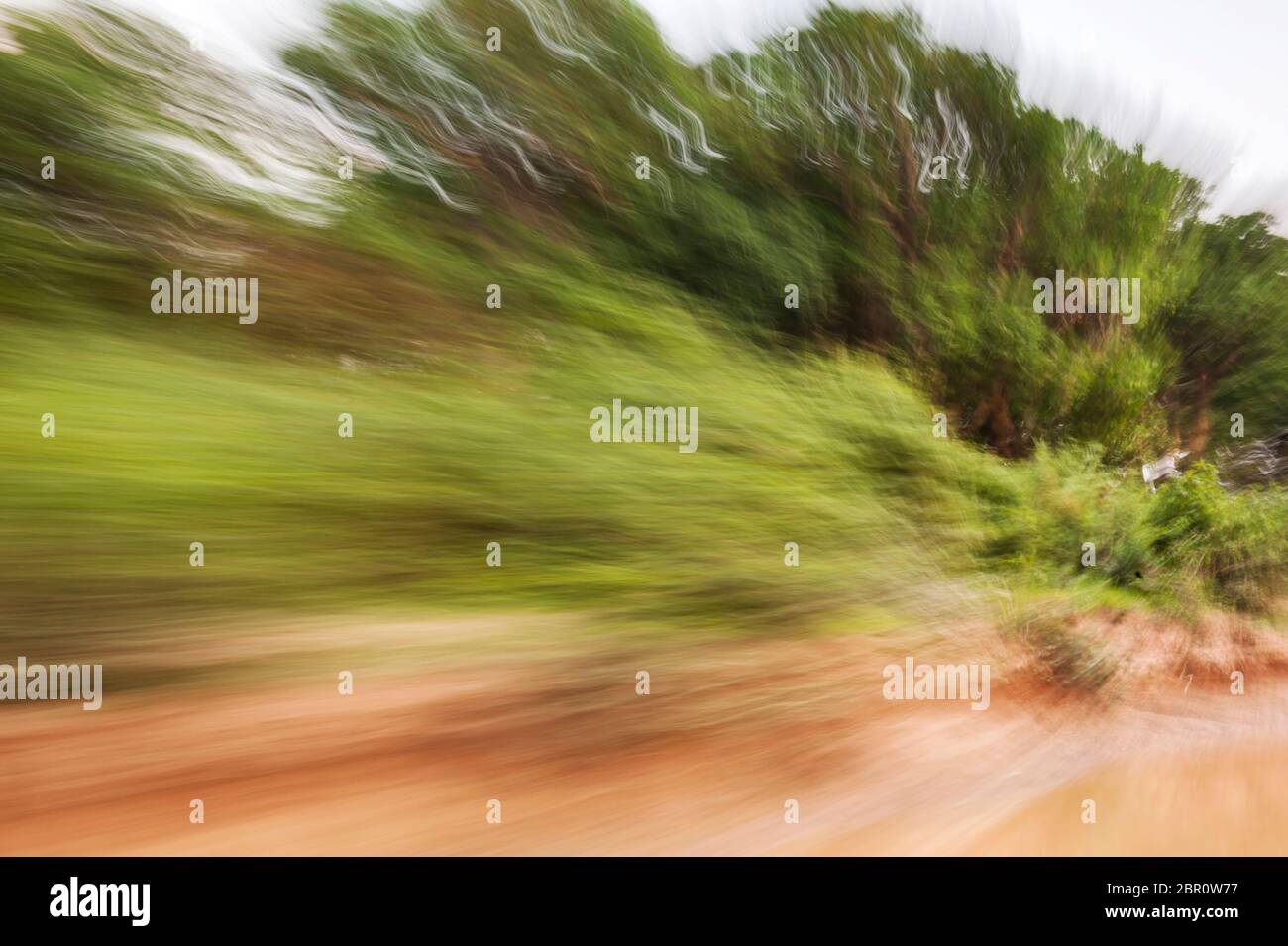 Se précipitant au-delà des arbres sur la rive. Kampong Phluk, province de Siem Reap, centre-nord du Cambodge, Asie du Sud-est Banque D'Images