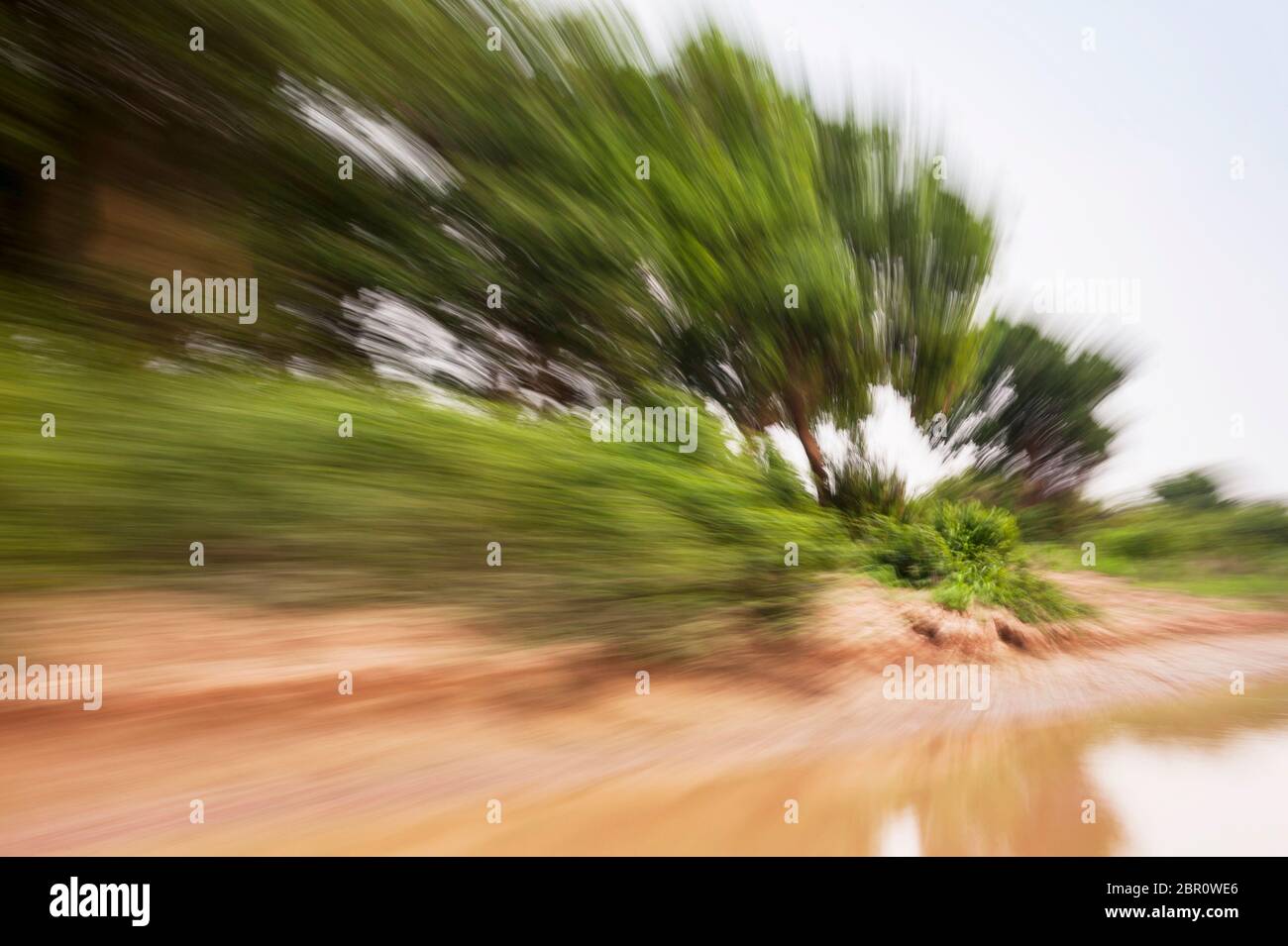 Se précipitant au-delà des arbres sur la rive. Kampong Phluk, province de Siem Reap, centre-nord du Cambodge, Asie du Sud-est Banque D'Images