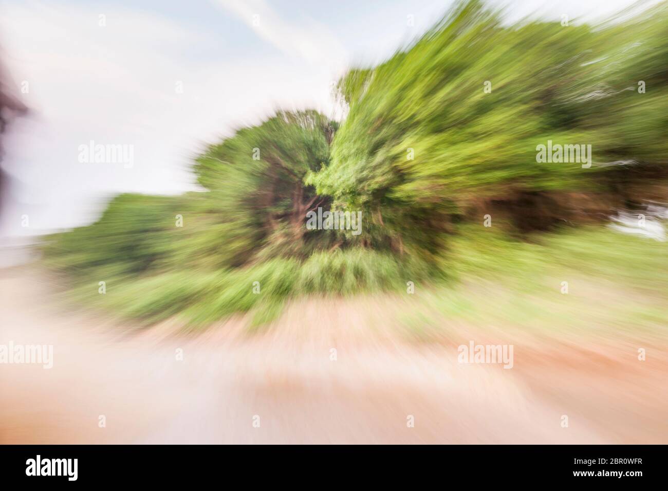Se précipitant au-delà des arbres sur la rive. Kampong Phluk, province de Siem Reap, centre-nord du Cambodge, Asie du Sud-est Banque D'Images