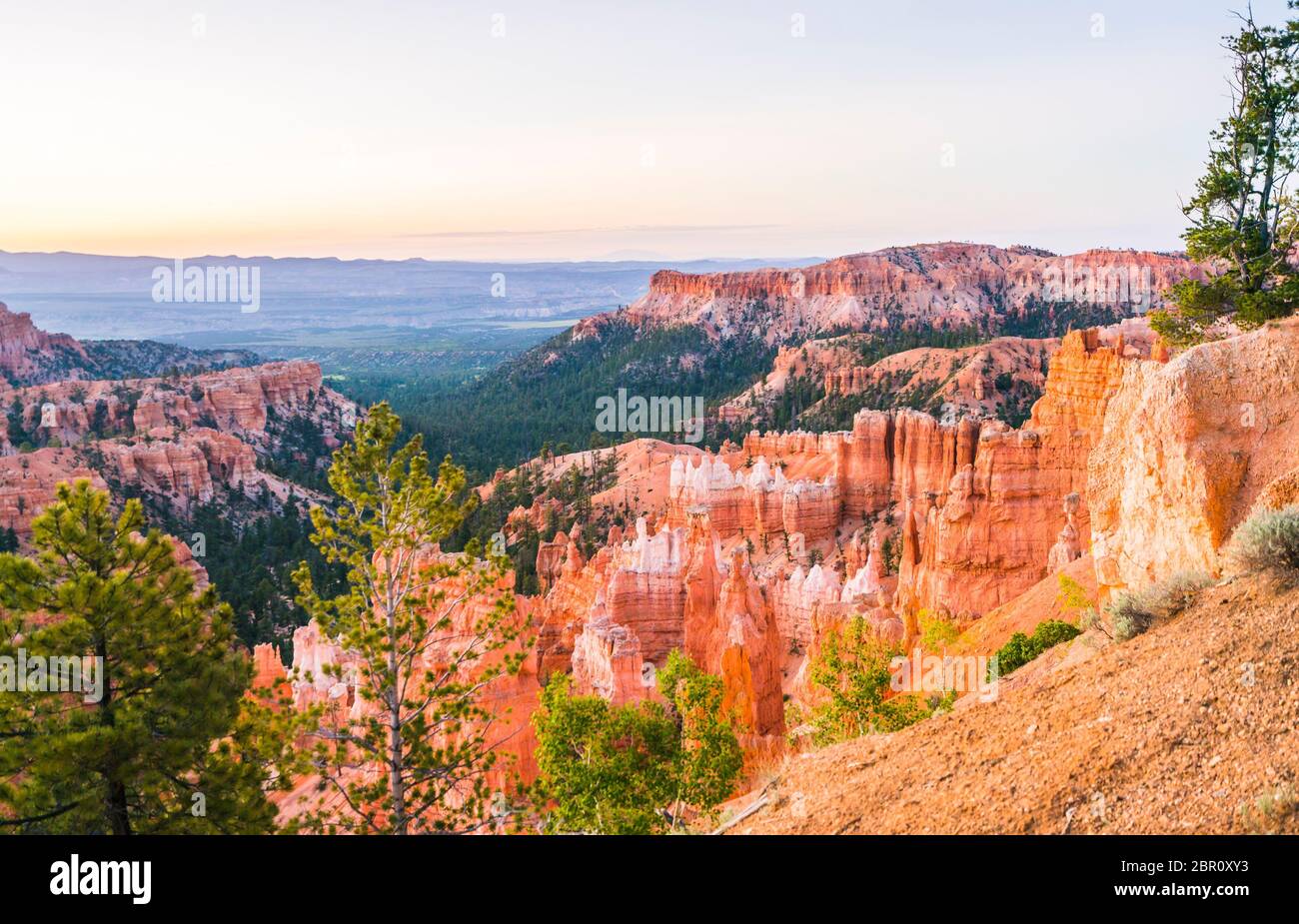 Parc national de Bryce Canyon au lever du soleil, Utah, états-unis. Banque D'Images