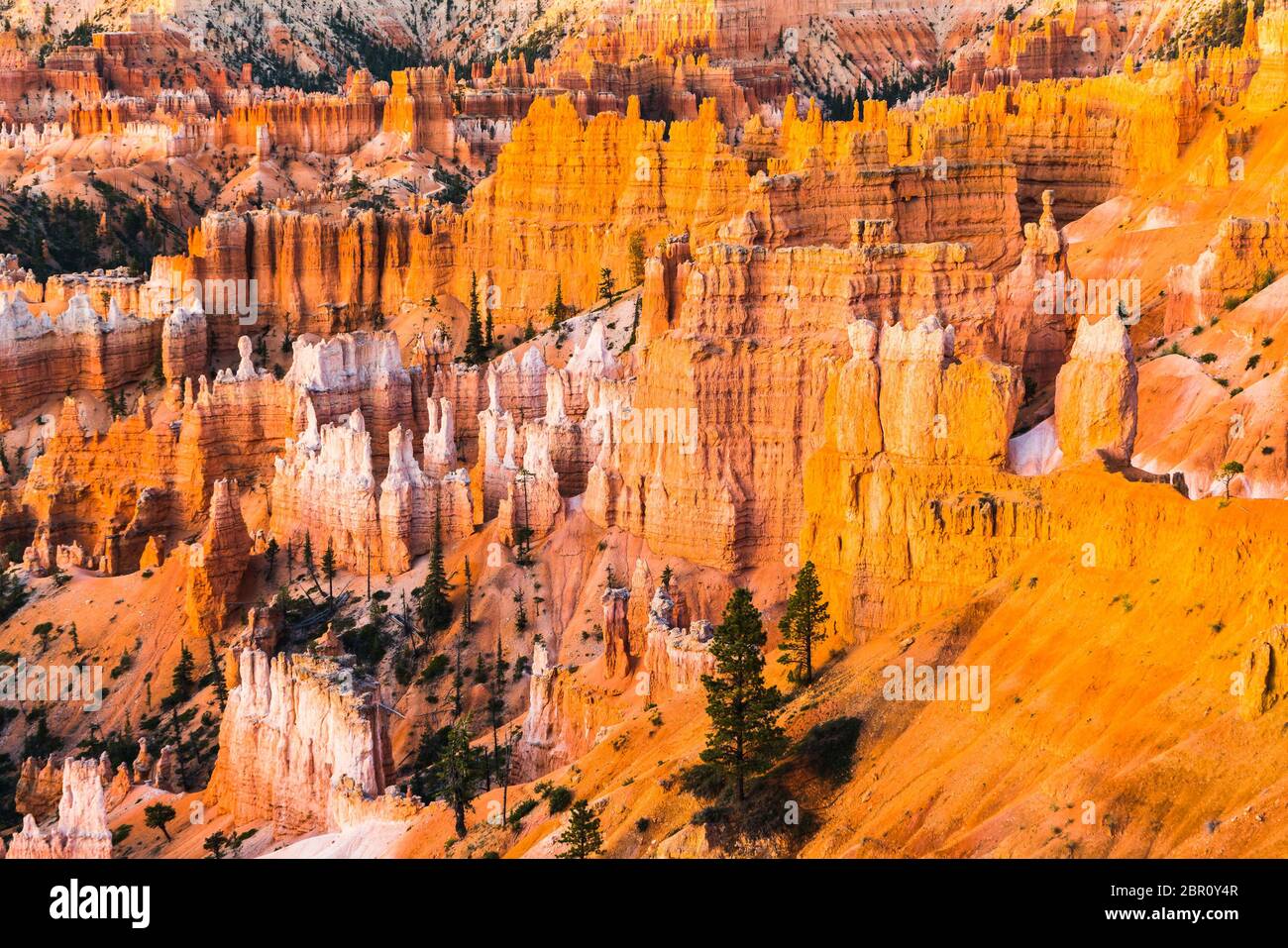 Parc national de Bryce Canyon au lever du soleil, Utah, états-unis. Banque D'Images