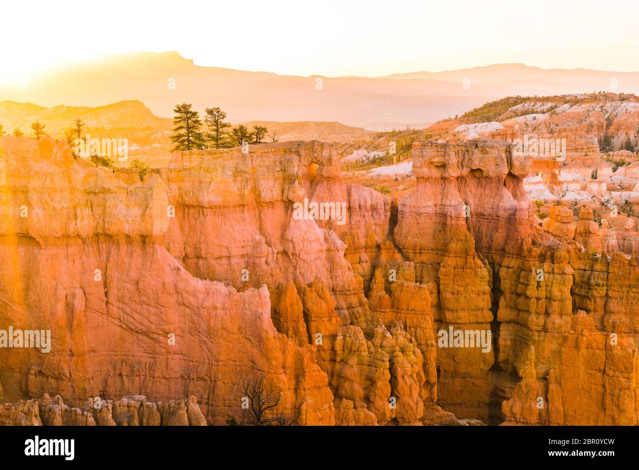 Parc national de Bryce Canyon au lever du soleil, Utah, états-unis. Banque D'Images