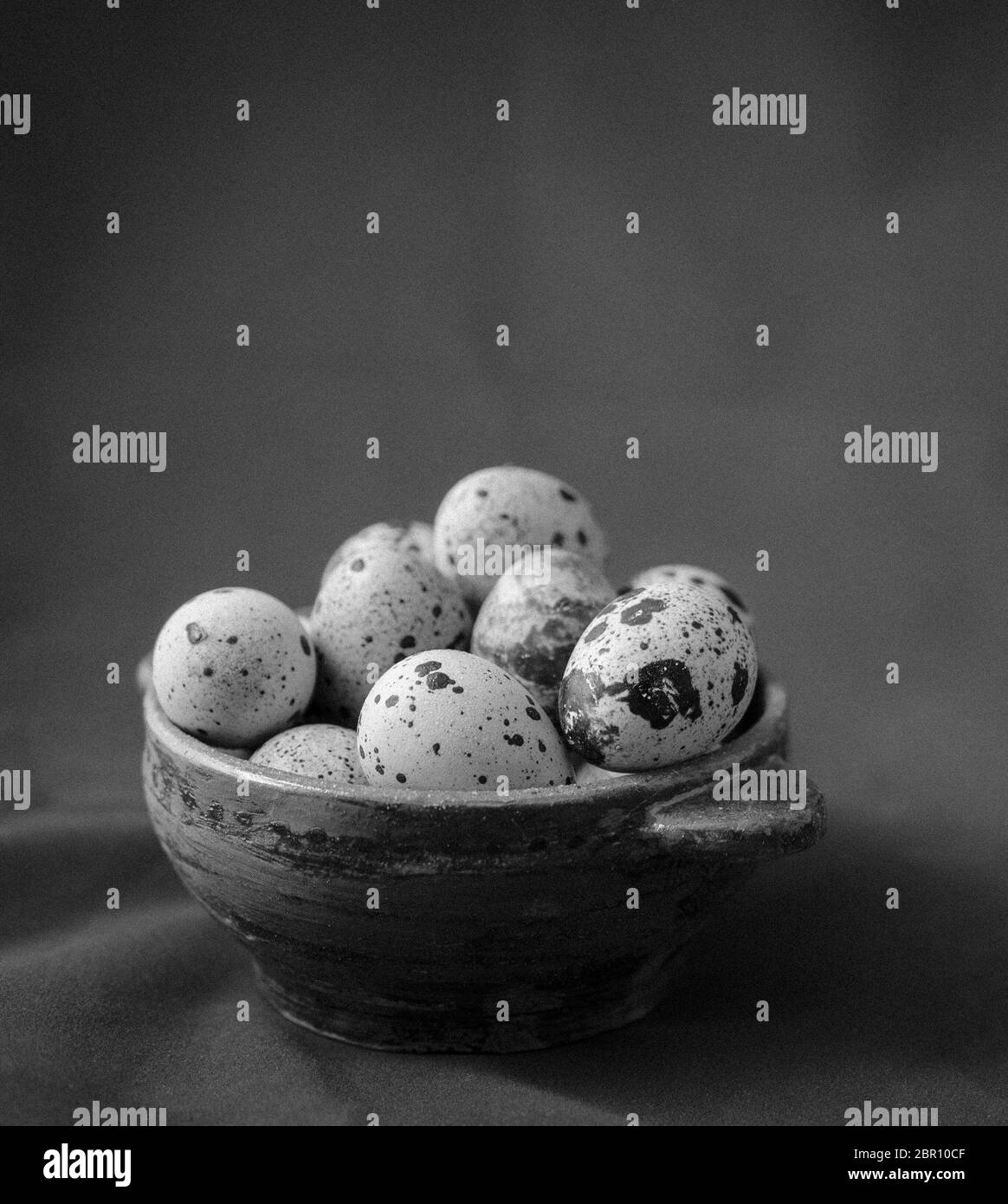 Oeuf Caille Fécondé à Vente En Ligne Oeufs de caille Banque d'images noir et blanc - Alamy