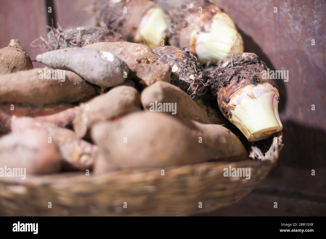 Taro tubercules en vente sur un marché. Siem Reap, Cambodge, Asie du Sud-est Banque D'Images