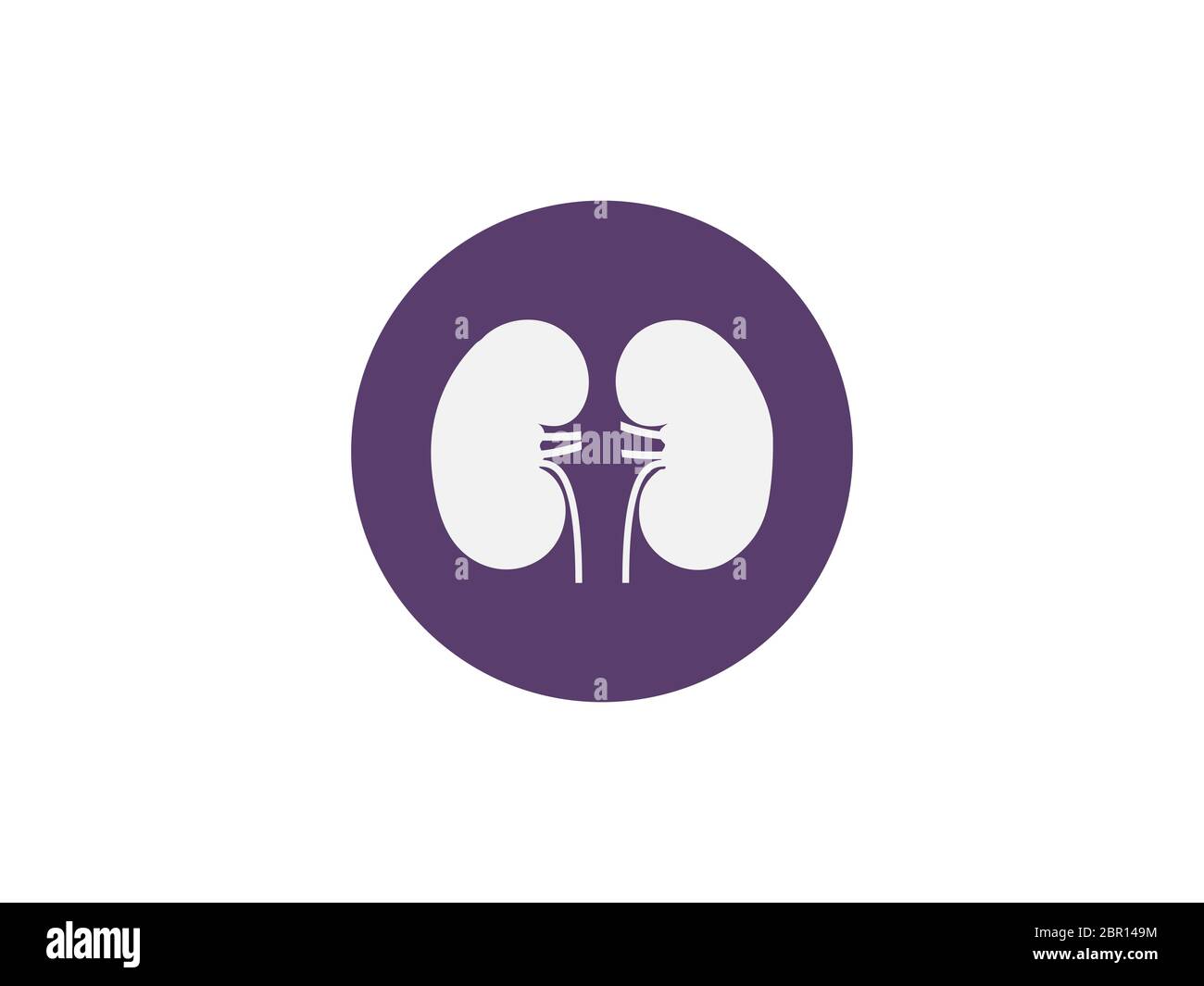 Reins, médical, icône d'organe. Illustration vectorielle, conception plate. Illustration de Vecteur