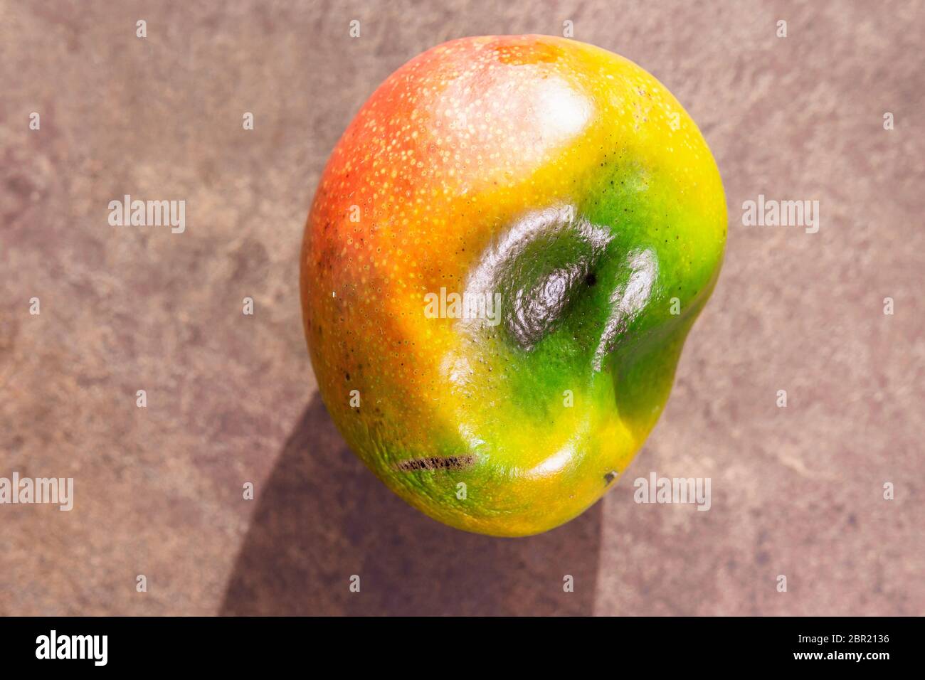 Mangue biologique tendance. Déformée avec une peau endommagée et moche ...