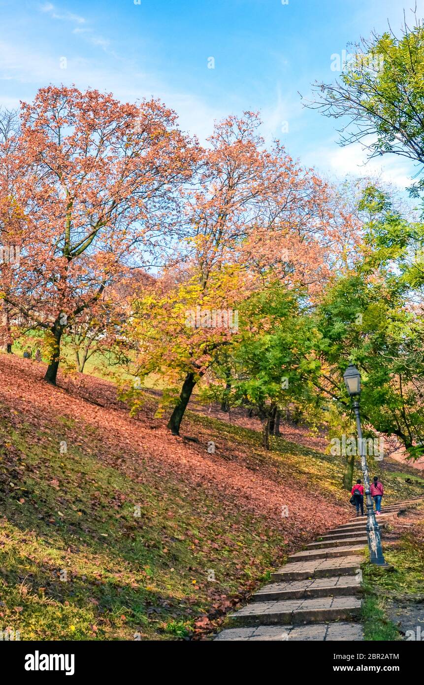 Arbres d'automne le long des escaliers dans le parc menant au château de Buda à Budapest, Hongrie. Branches et feuillage d'automne. Arbres d'automne dans les couleurs orange et rouge. Saisons de l'année. Banque D'Images